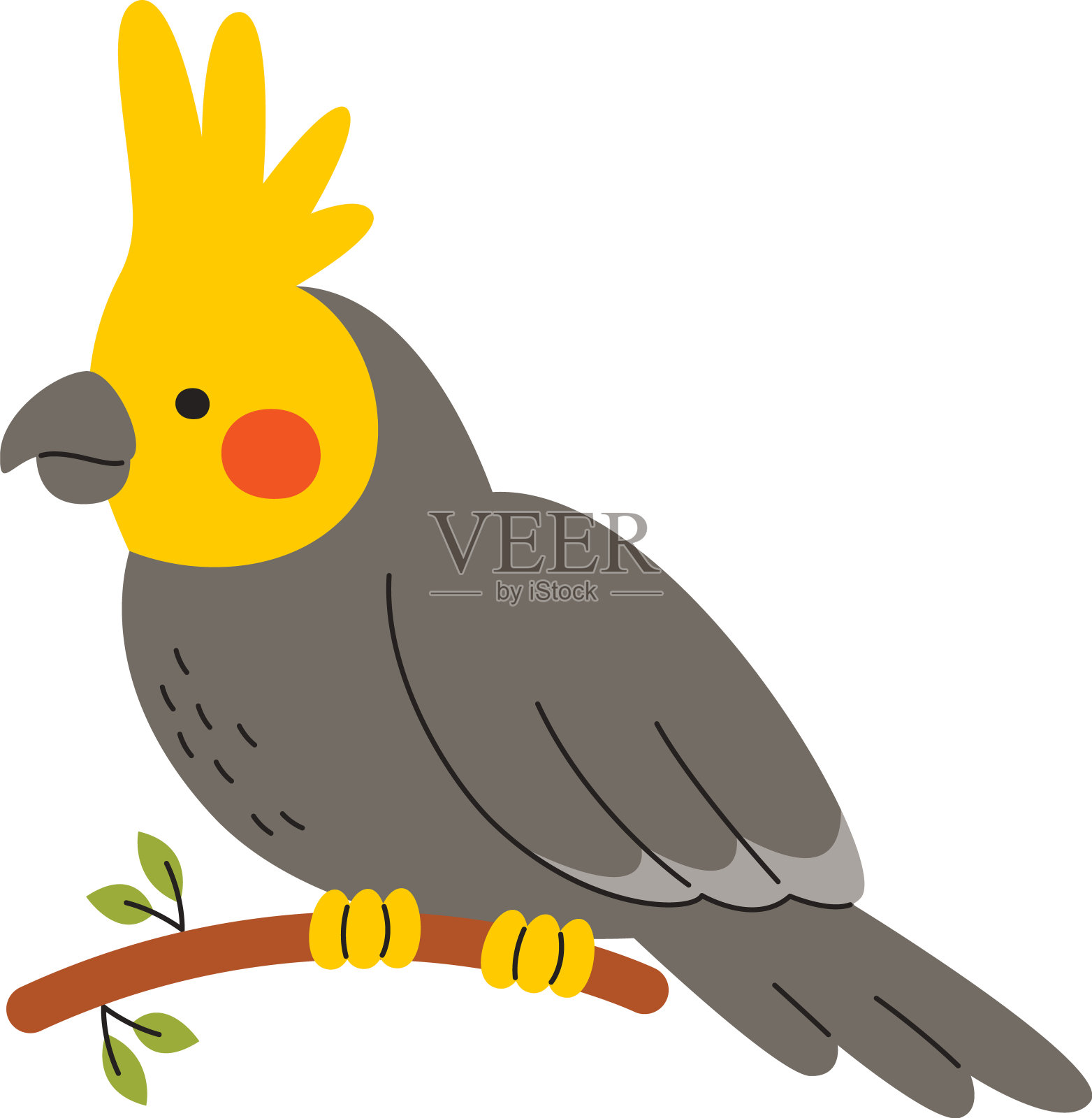 科雷拉鹦鹉坐在小树枝上插画图片素材