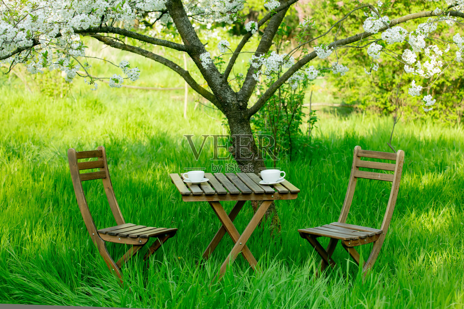 一杯咖啡或茶，放在花园中盛开的树旁的木桌上照片摄影图片