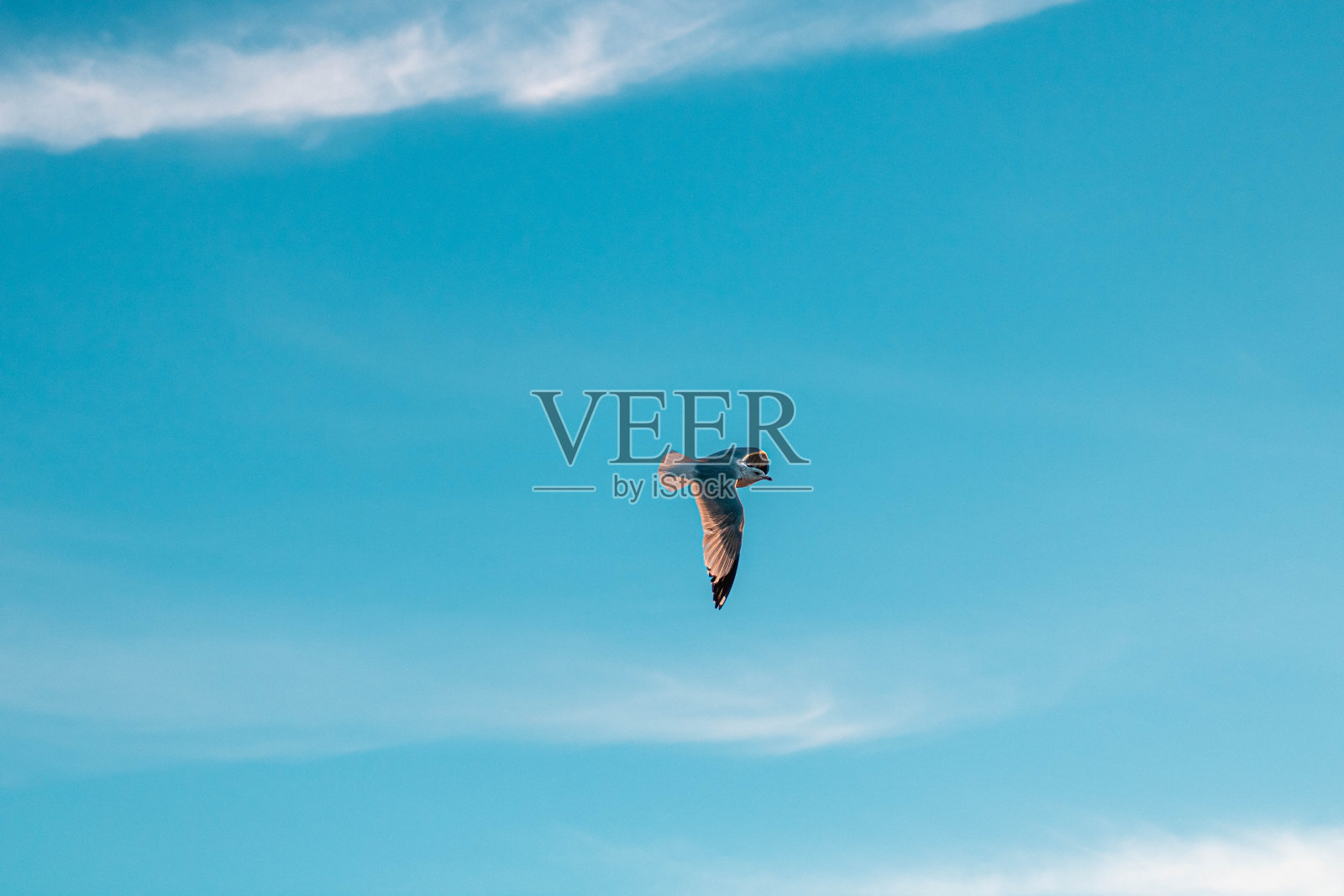 大街照片摄影图片