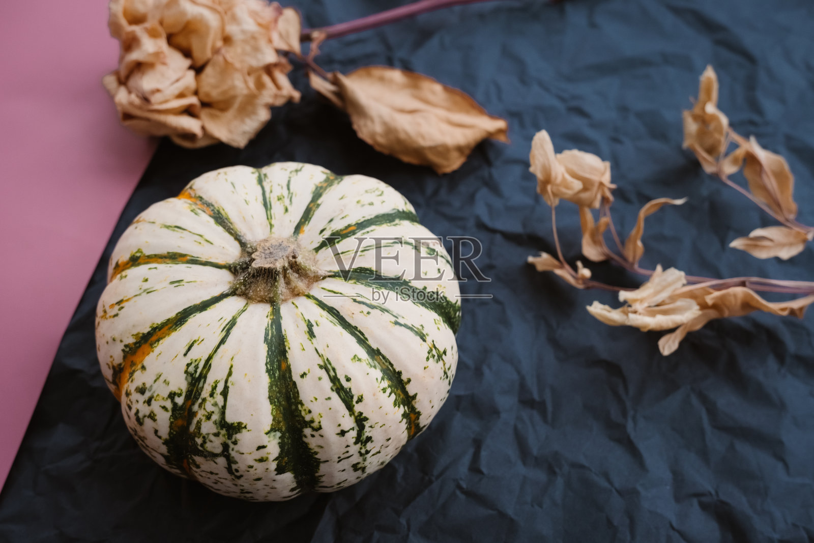 成熟的南瓜和干叶子在黑色的背景上，秋天蔬菜收获的概念照片摄影图片