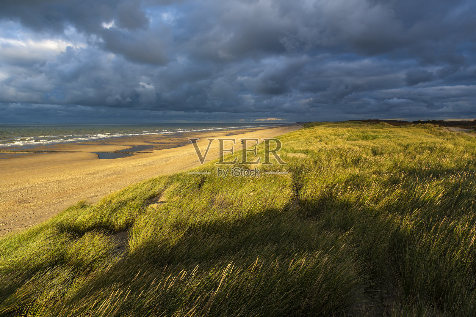 沙丘日落，比利时照片摄影图片