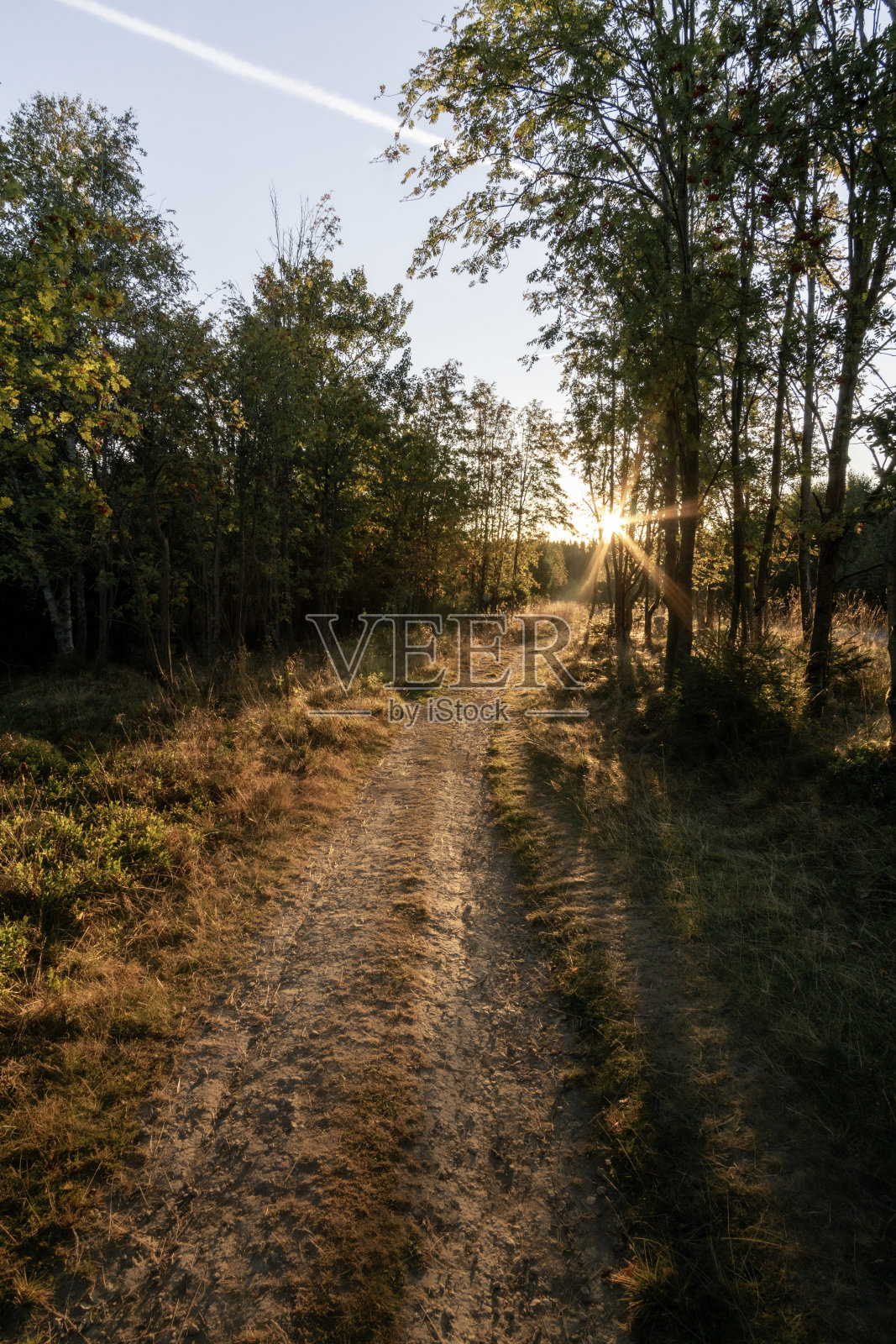 日出时分漫步在温特贝格的尼德斯菲尔德·霍赫海德照片摄影图片