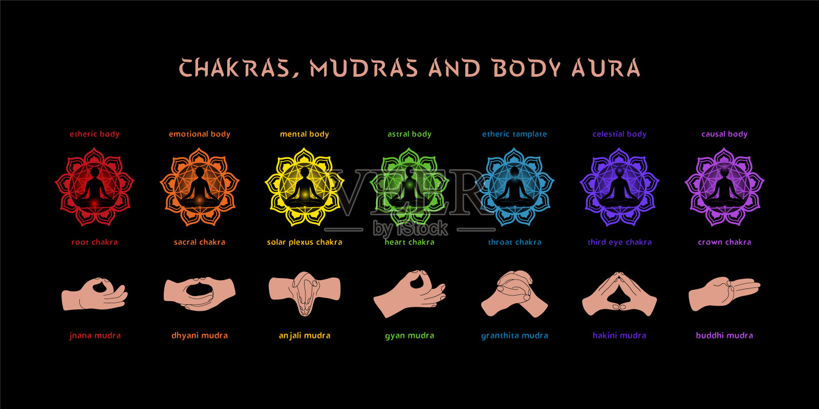 七个脉轮，气场层和手印。精神实践的信息图。矢量插图黑色背景。插画图片素材