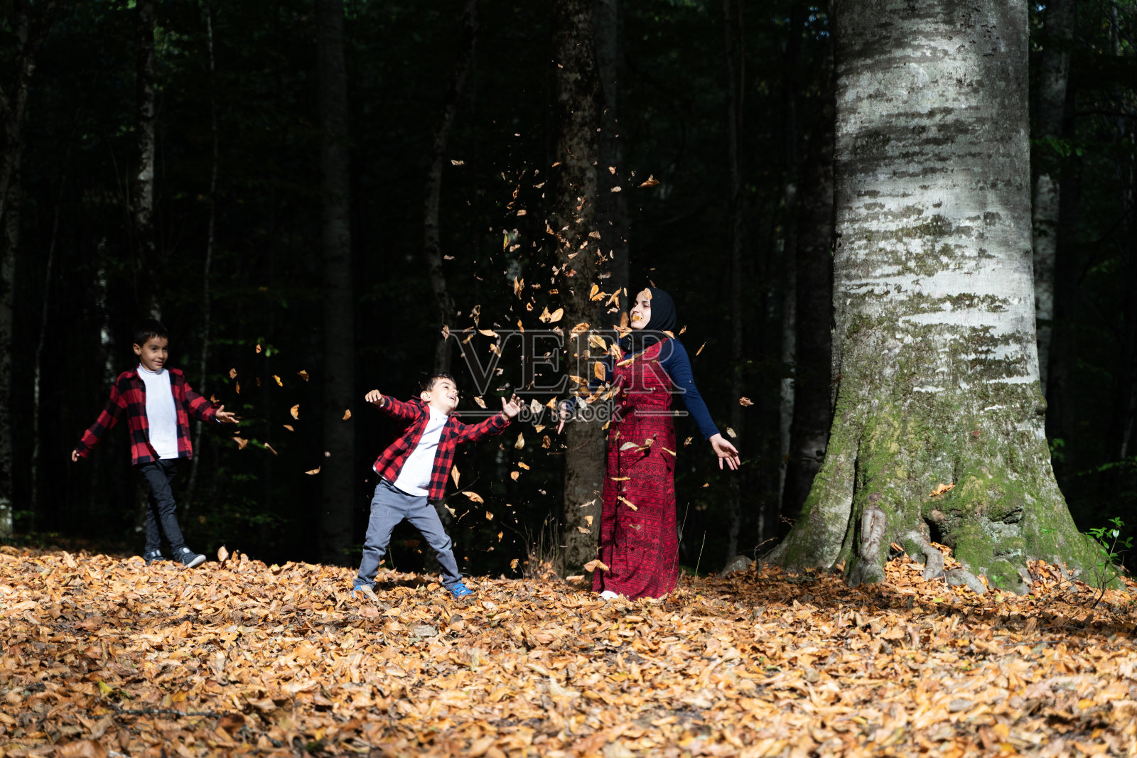 妈妈和儿子在博鲁Yedigöller国家公园一起度过了美好的时光照片摄影图片
