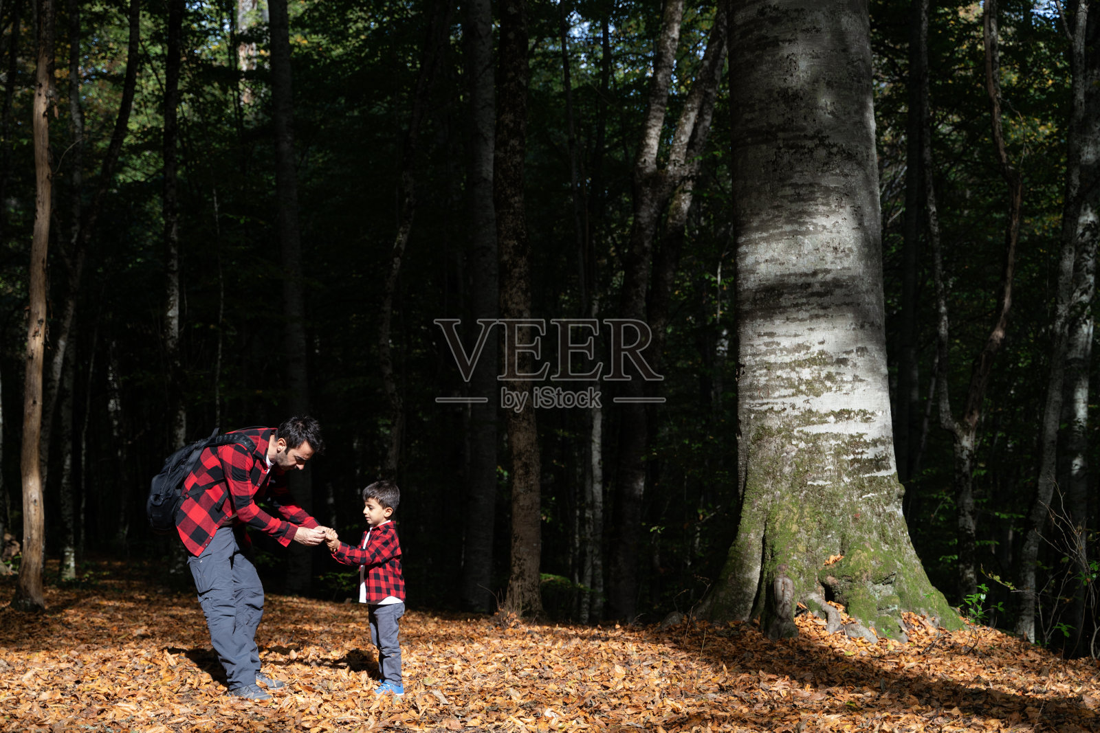 父亲和儿子在博鲁Yedigöller国家公园一起度过了美好的时光照片摄影图片