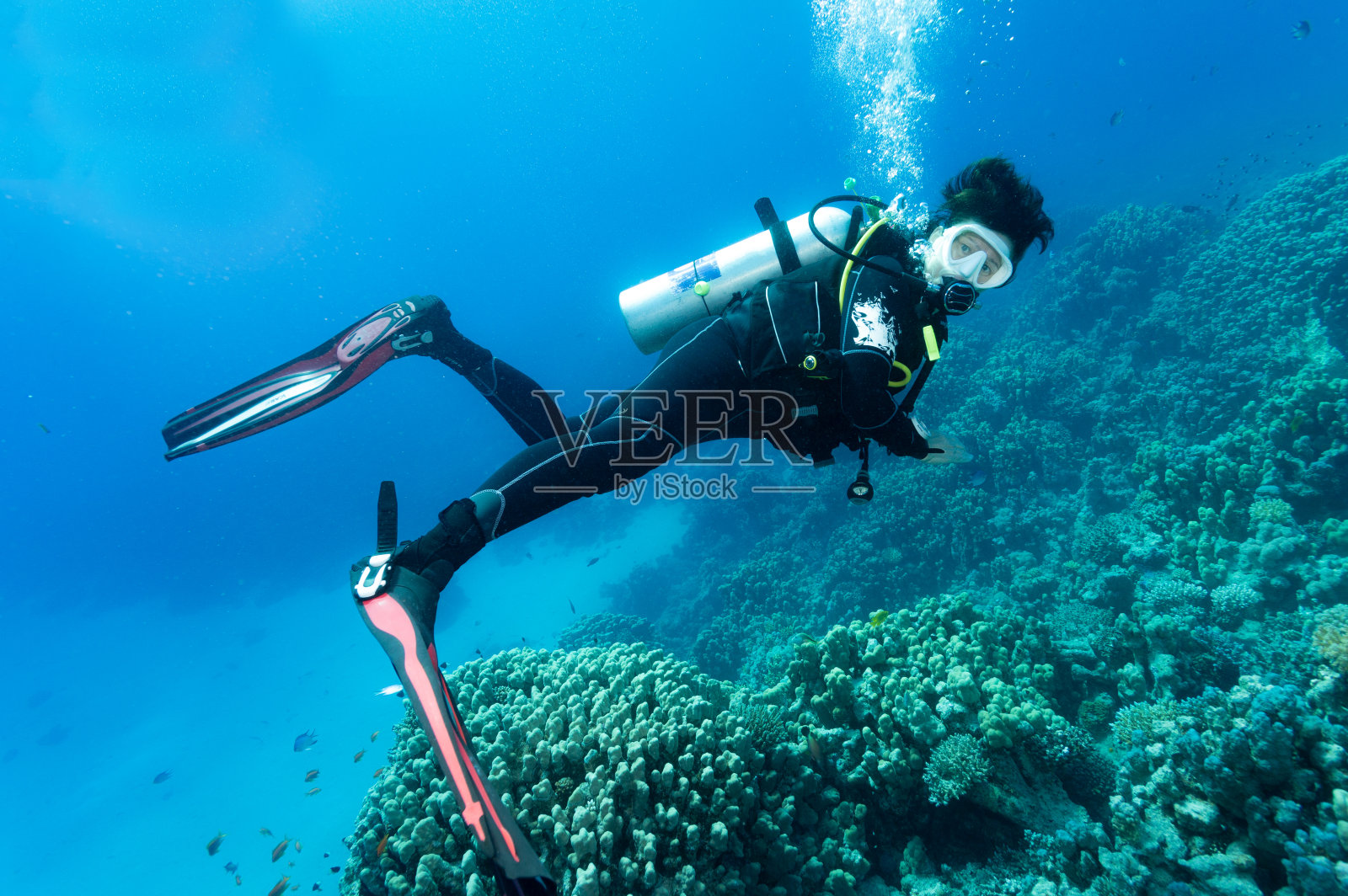 女性潜水员照片摄影图片