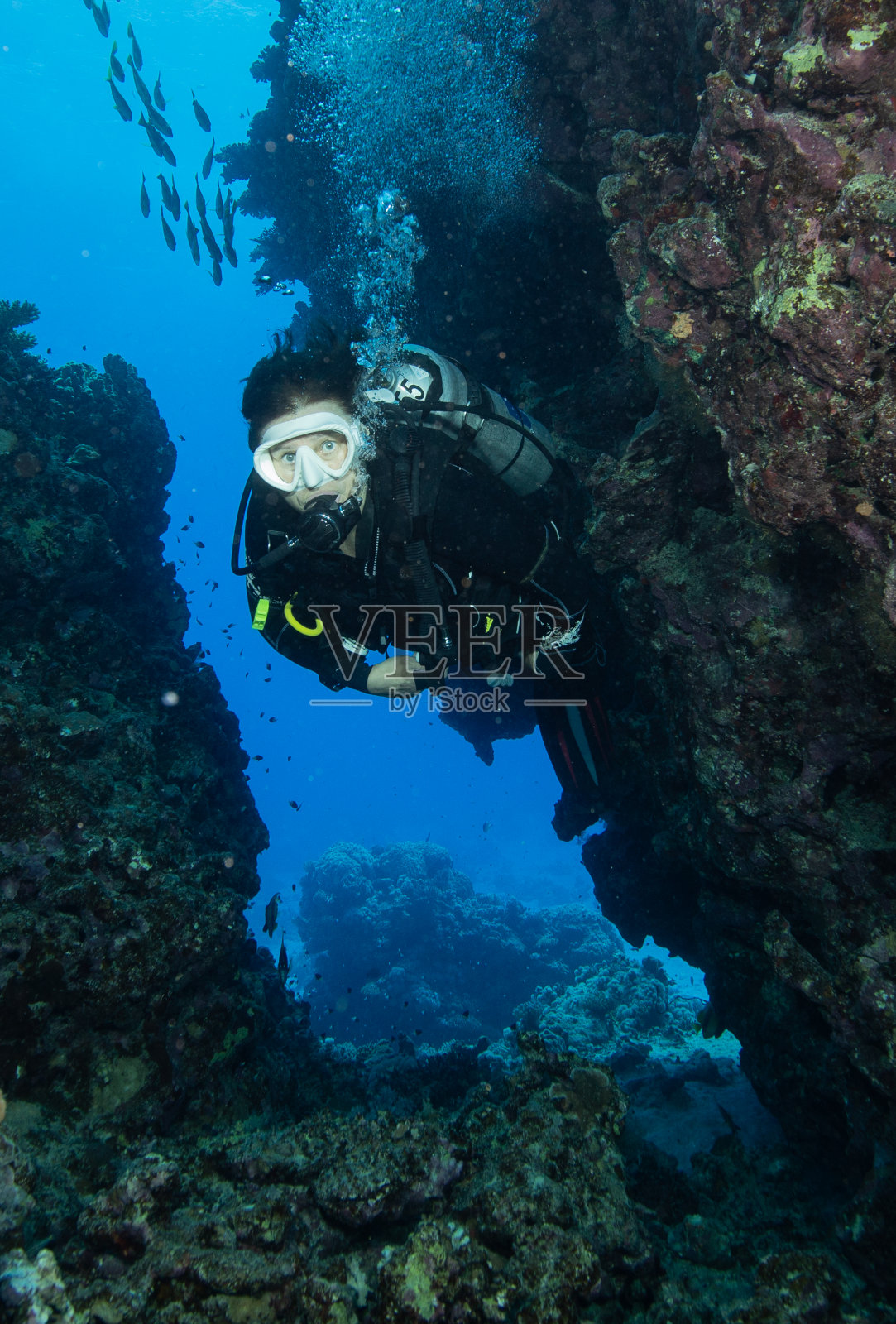 女潜水员照片摄影图片