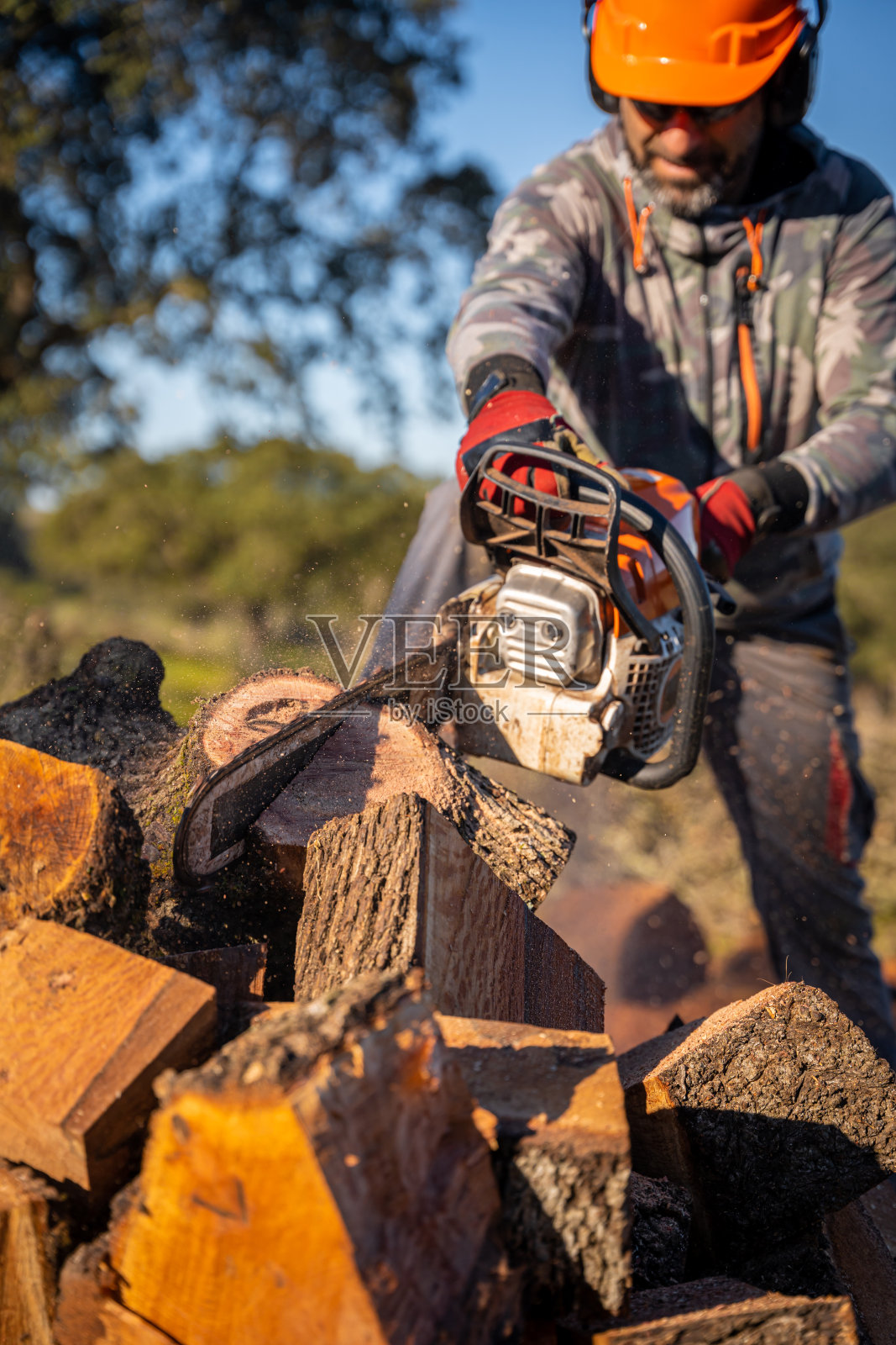 镜头前一名男子留着胡子，戴着橙色头盔和防护装备，正在用电锯砍柴火，准备过冬照片摄影图片