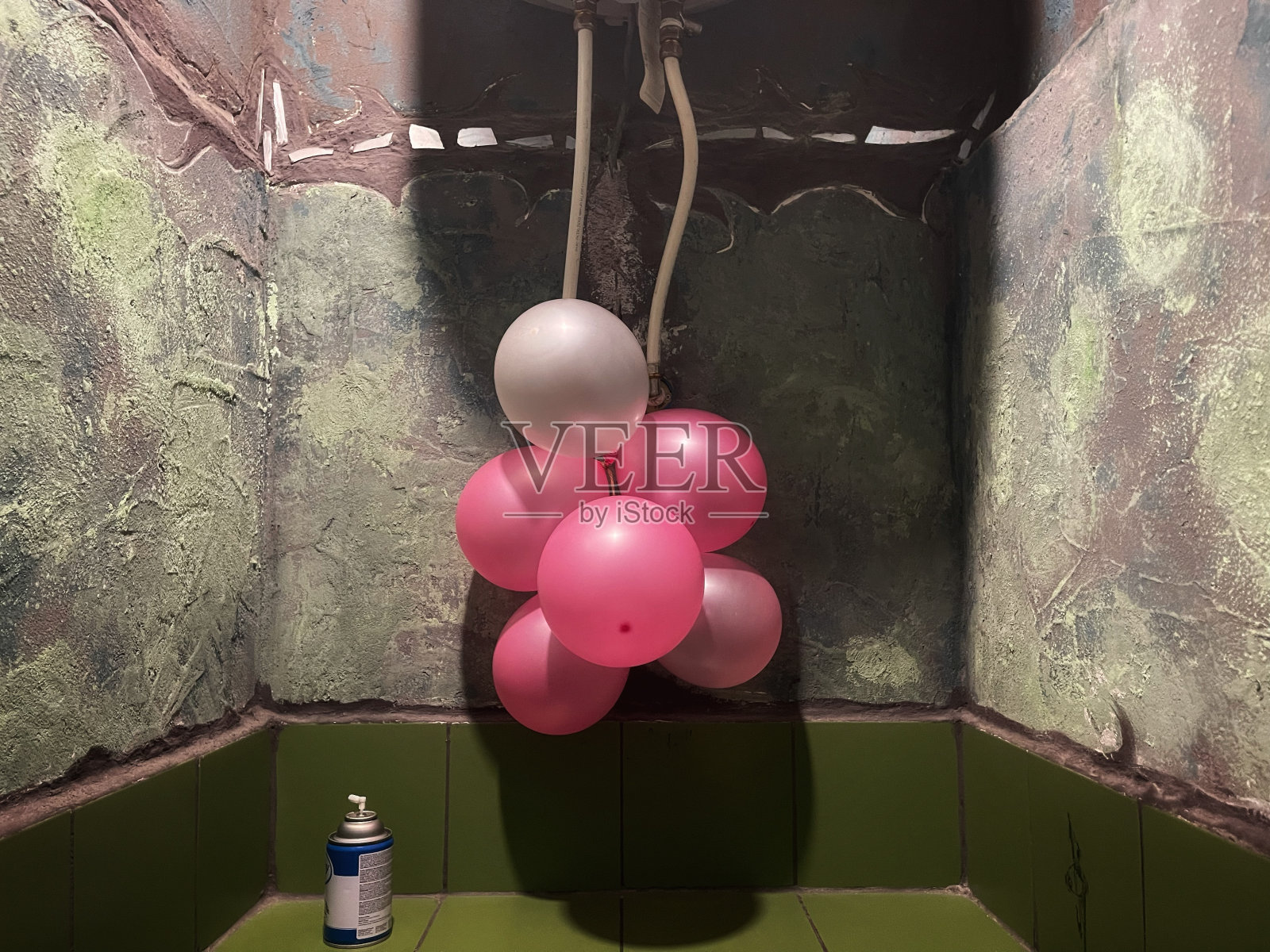 节日溅照片摄影图片