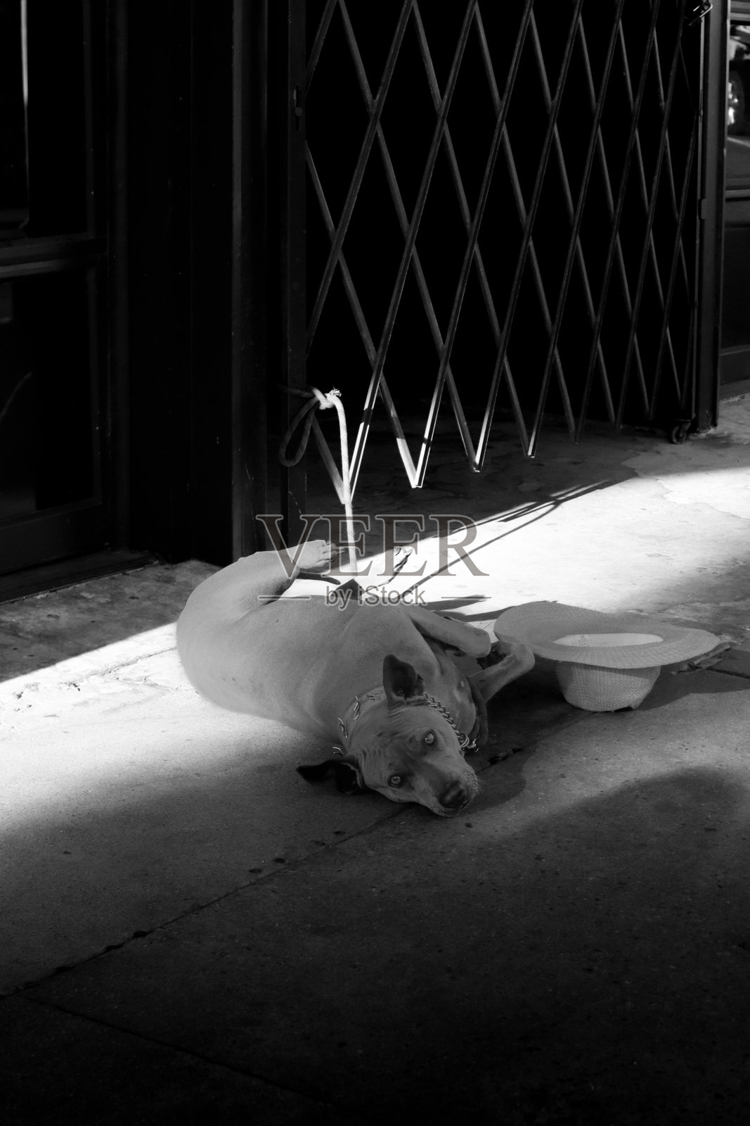 孤独照片摄影图片