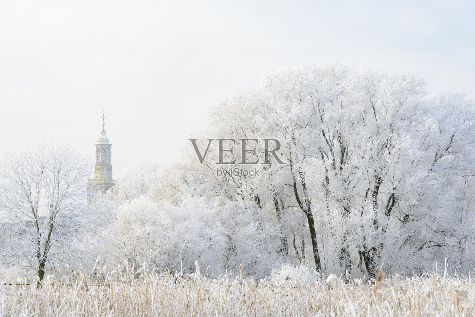 荷兰冬天的坎彭和艾塞尔河照片摄影图片