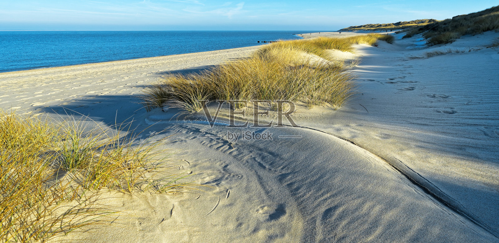 叙尔特海滩上的沙丘照片摄影图片