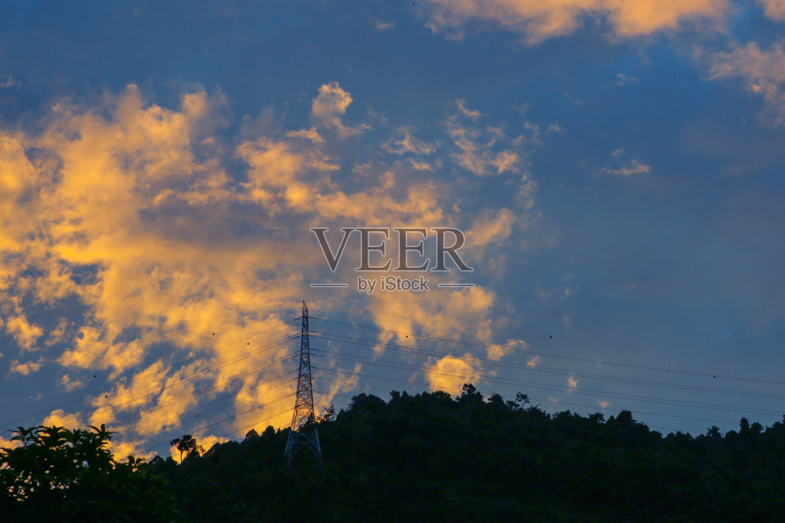 早晨在自然保护区森林照片摄影图片