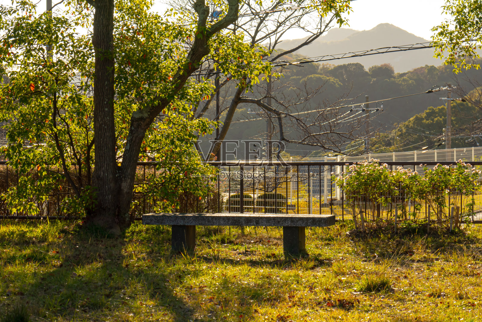 公园里有阳光的长椅照片摄影图片