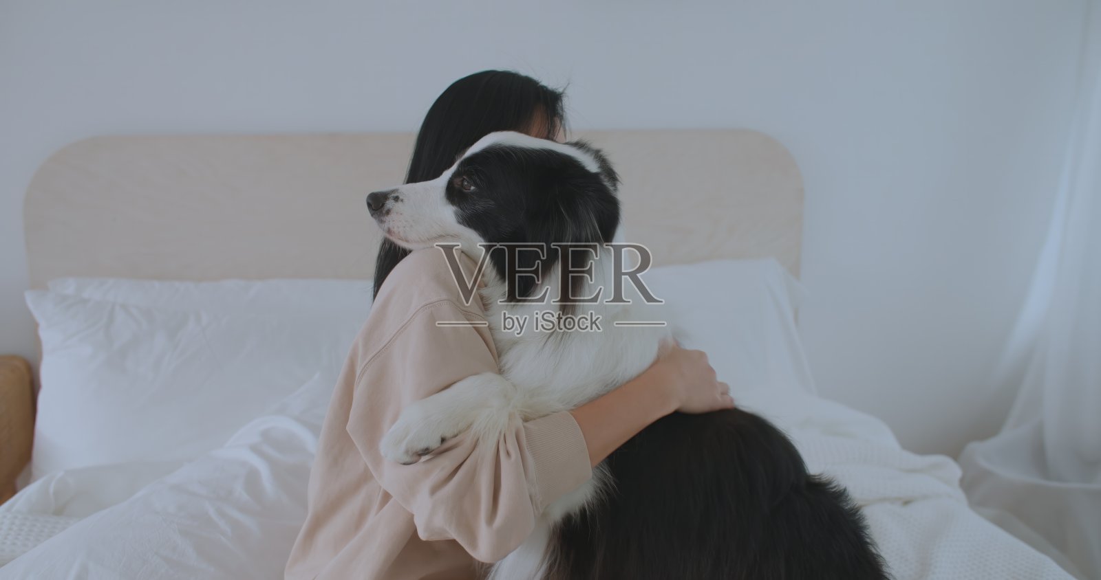 年轻的亚洲女孩拥抱和亲吻她的宠物，而躺在床上的爱。照片摄影图片