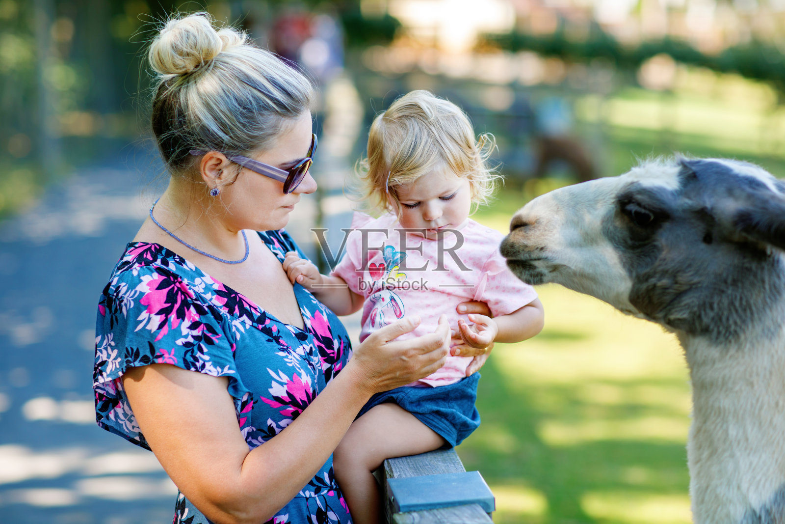 可爱可爱的小女孩和年轻的妈妈在儿童农场喂小山羊和绵羊。可爱的宝宝在动物园里抚摸动物。女人和女儿一起在家庭周末度假照片摄影图片
