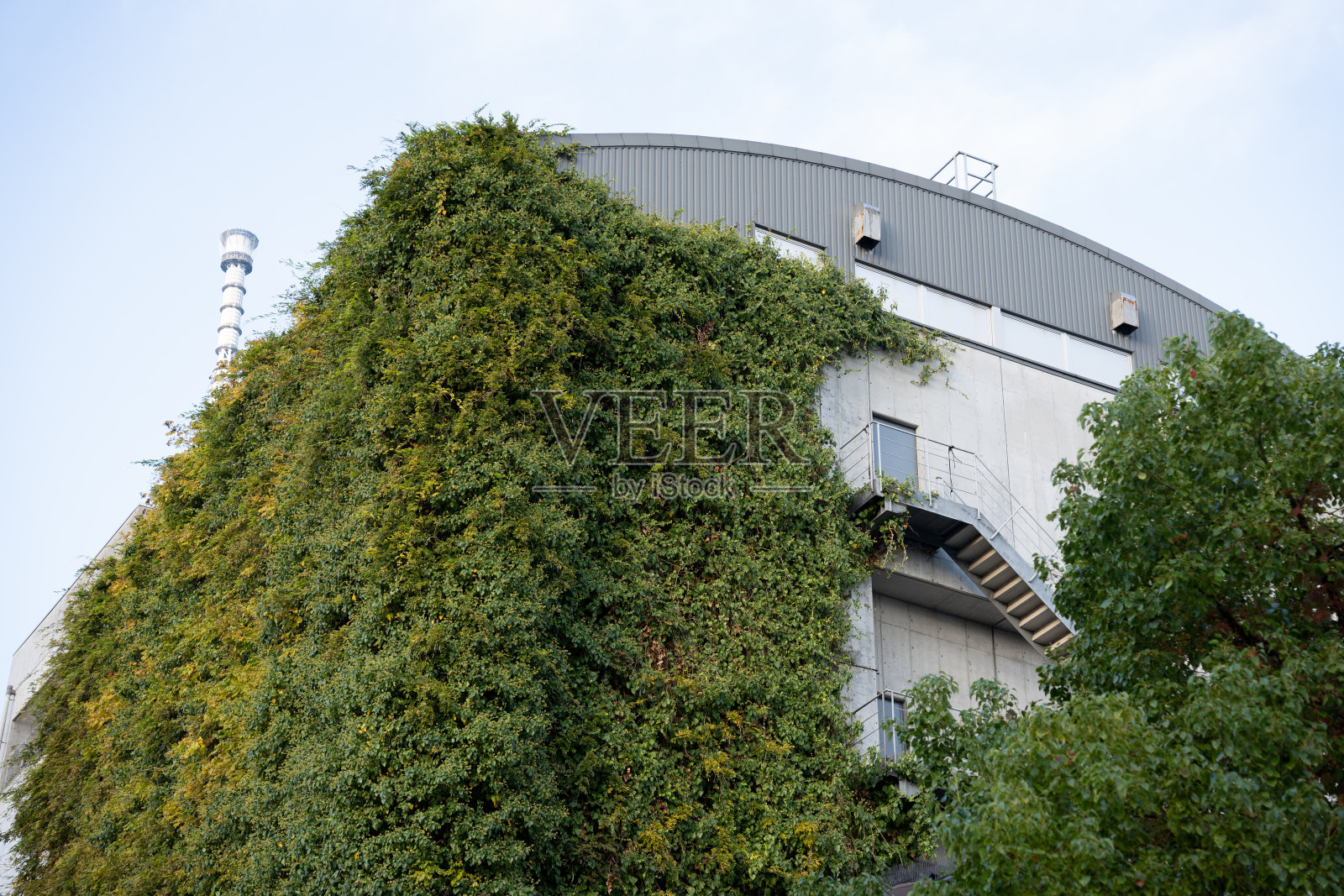 长满植物的建筑物照片摄影图片