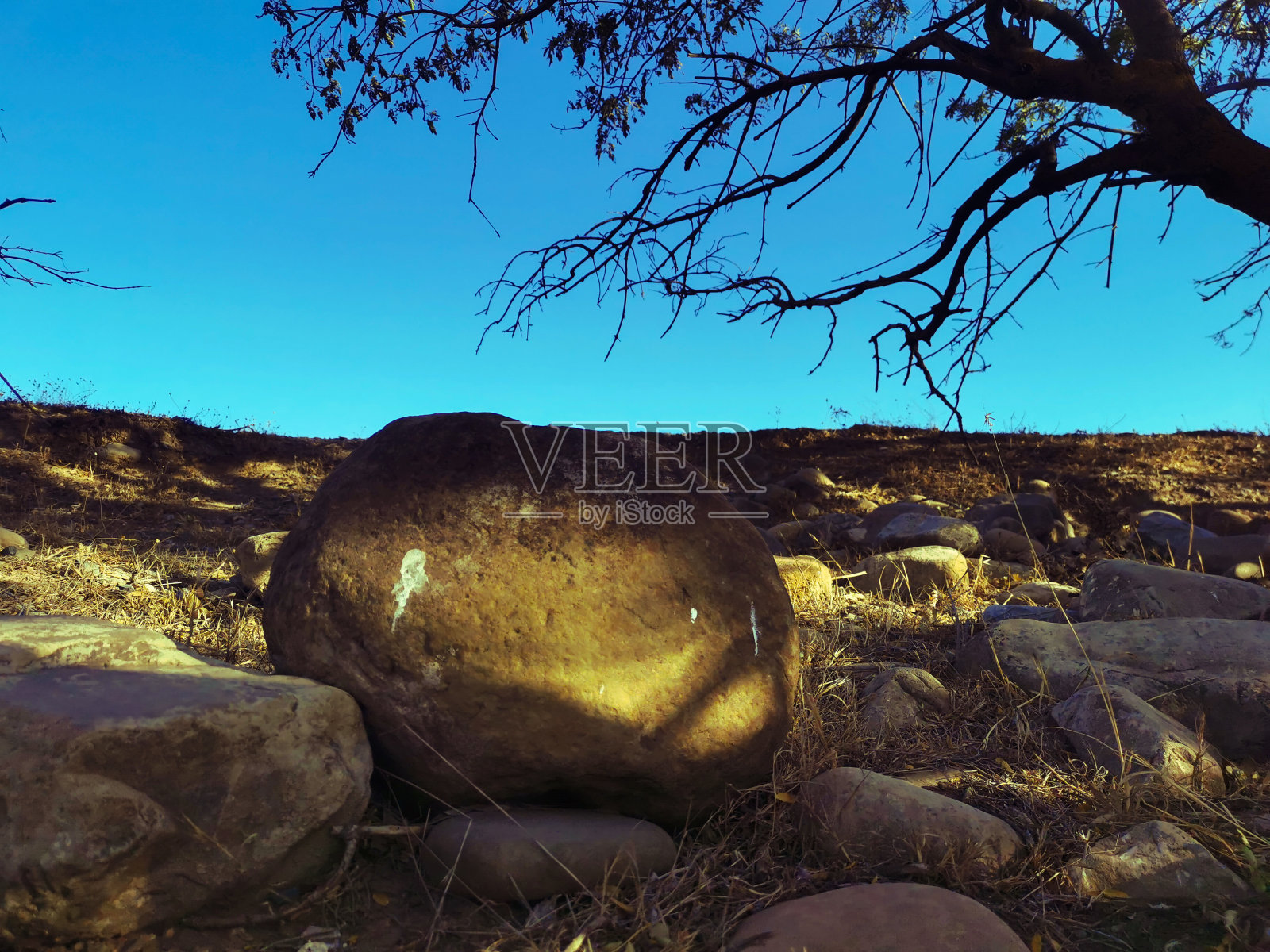 一幅干黄色的画照片摄影图片