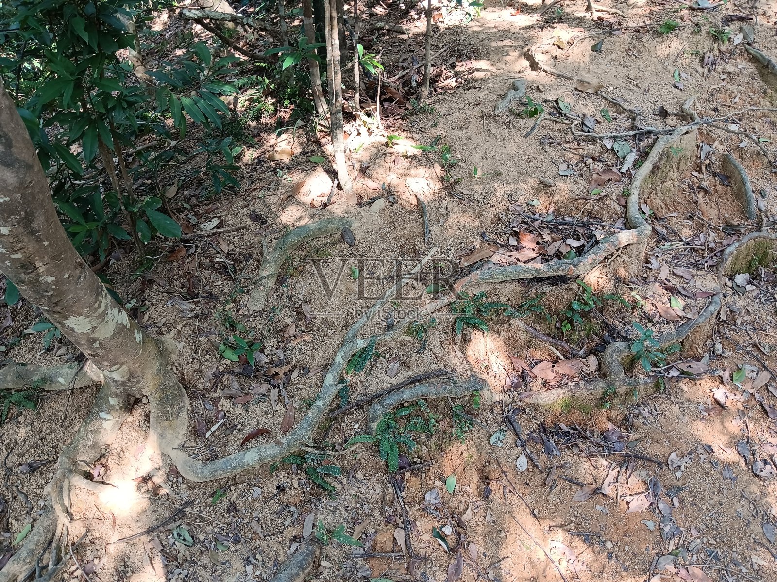 景观中的景观照片摄影图片