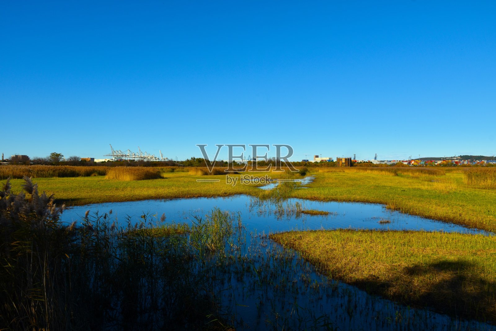 斯科扬斯基扎托克美丽的沼泽地和斯洛文尼亚普里莫尔斯卡科佩尔港的起重机照片摄影图片