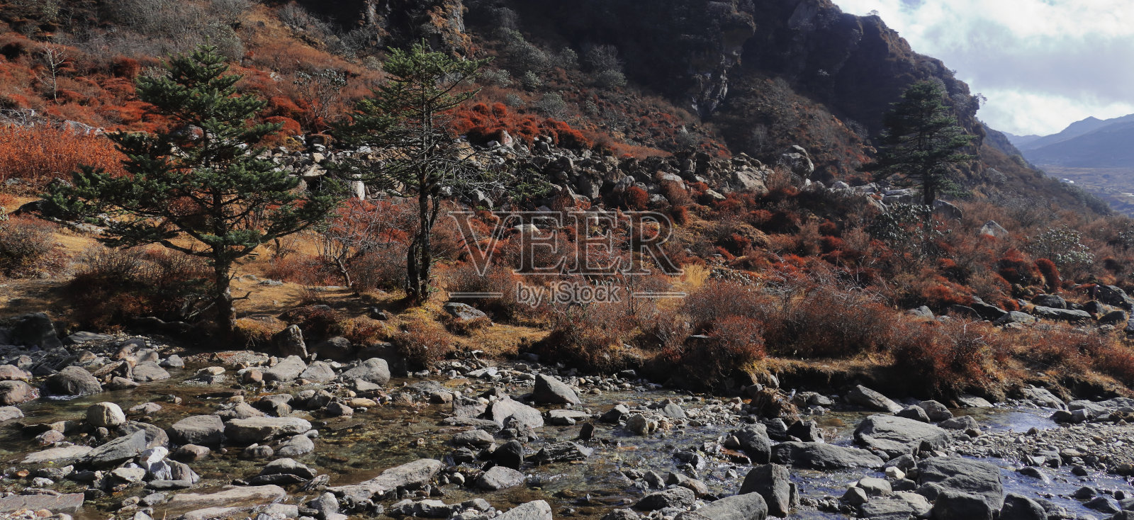 锡金东部的山地美景和荒野，高海拔喜马拉雅地区靠近印度，中国和不丹三国交界，靠近春比山谷照片摄影图片