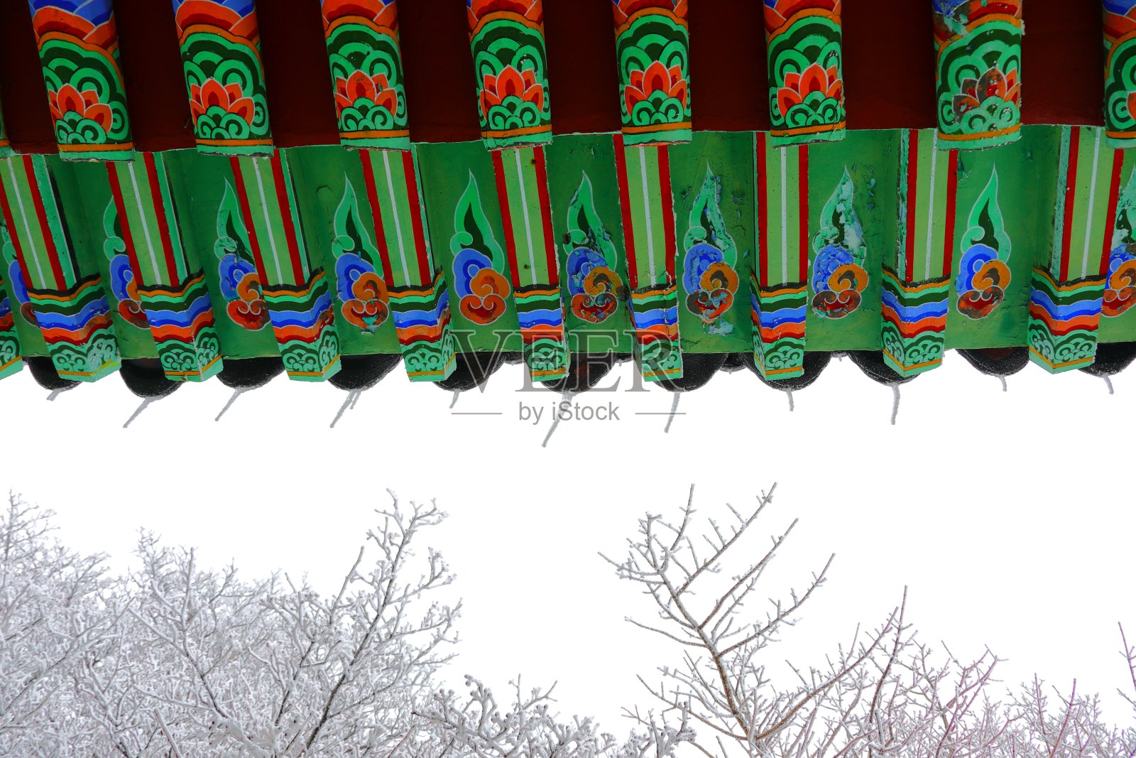 冬天在韩国济州岛著名的旅游景点1100山湿地照片摄影图片