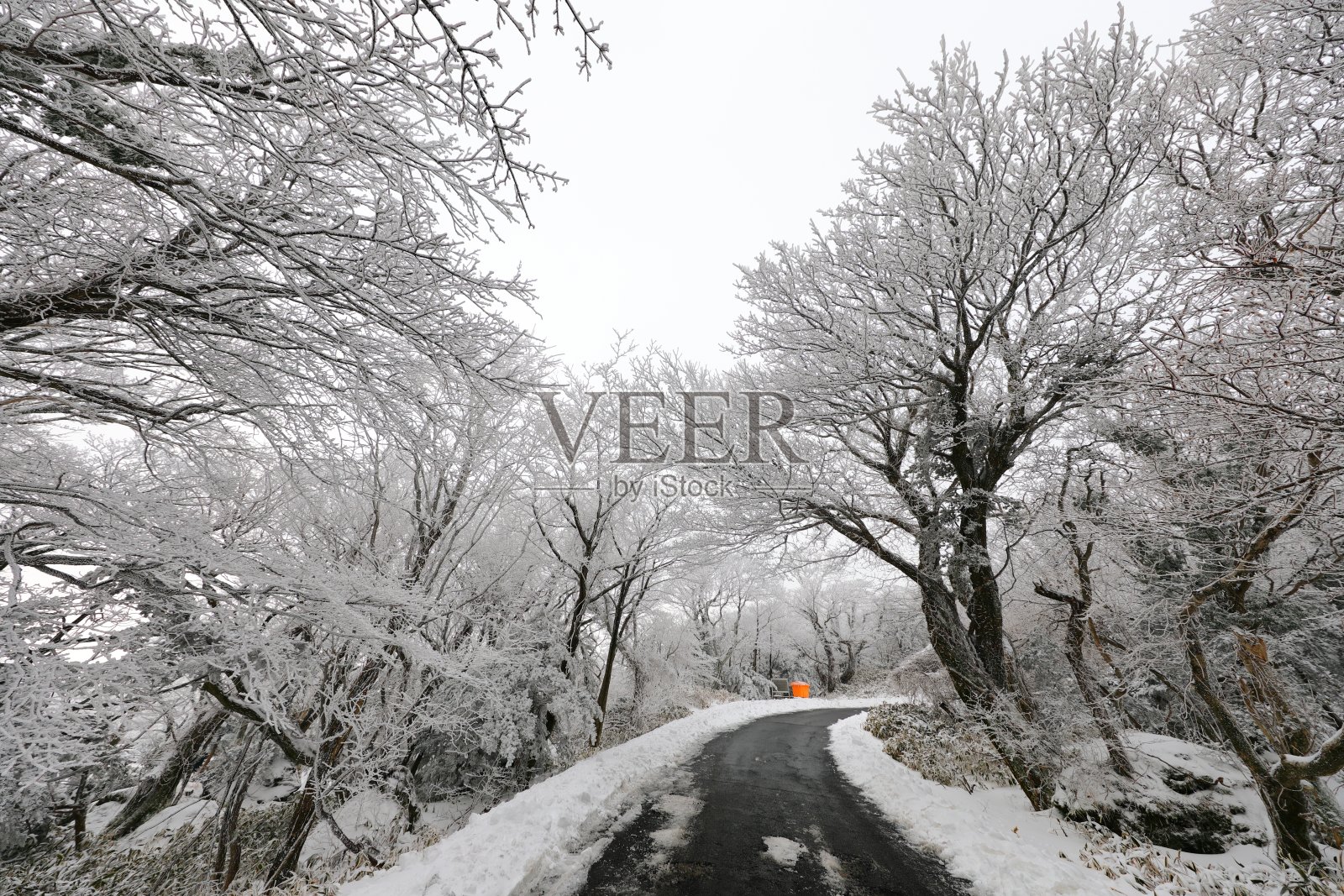 冬天在韩国济州岛著名的旅游景点1100山湿地照片摄影图片