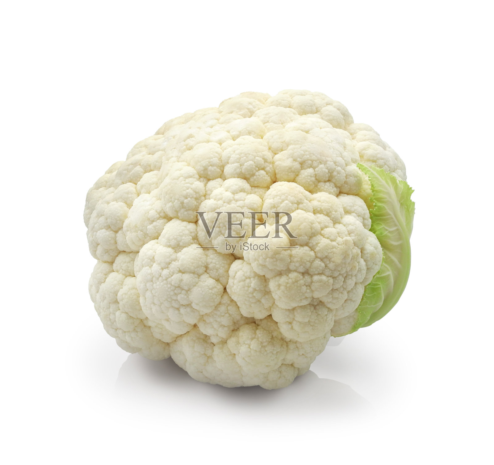 孤立于白色上的菜花照片摄影图片