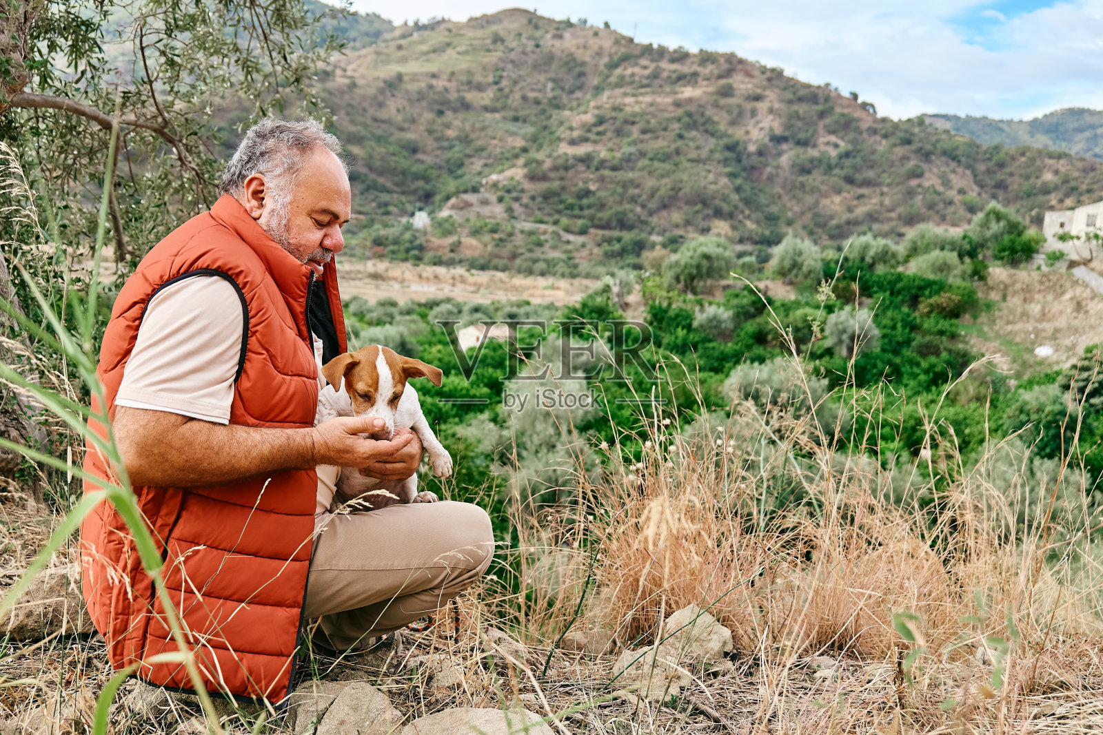 成熟的白发男子花时间与他的小可爱的杰克罗素梗在山区大自然。照片摄影图片