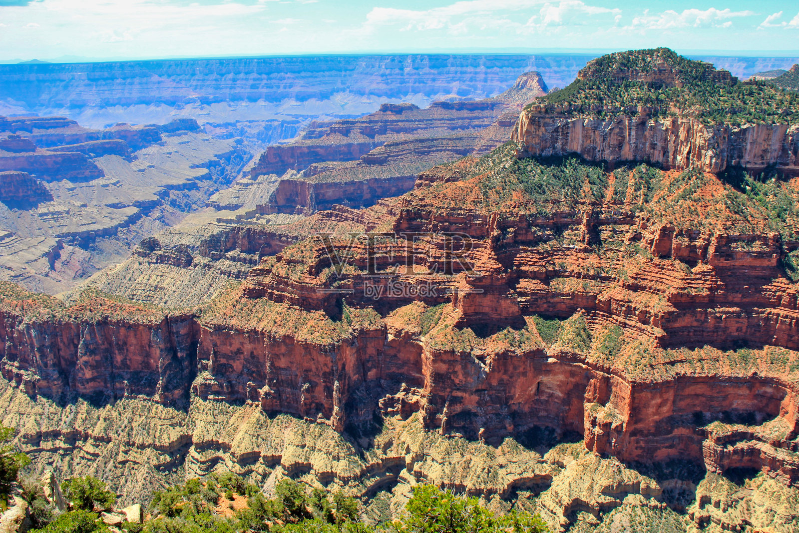 峡谷和科罗拉多河的全景照片摄影图片