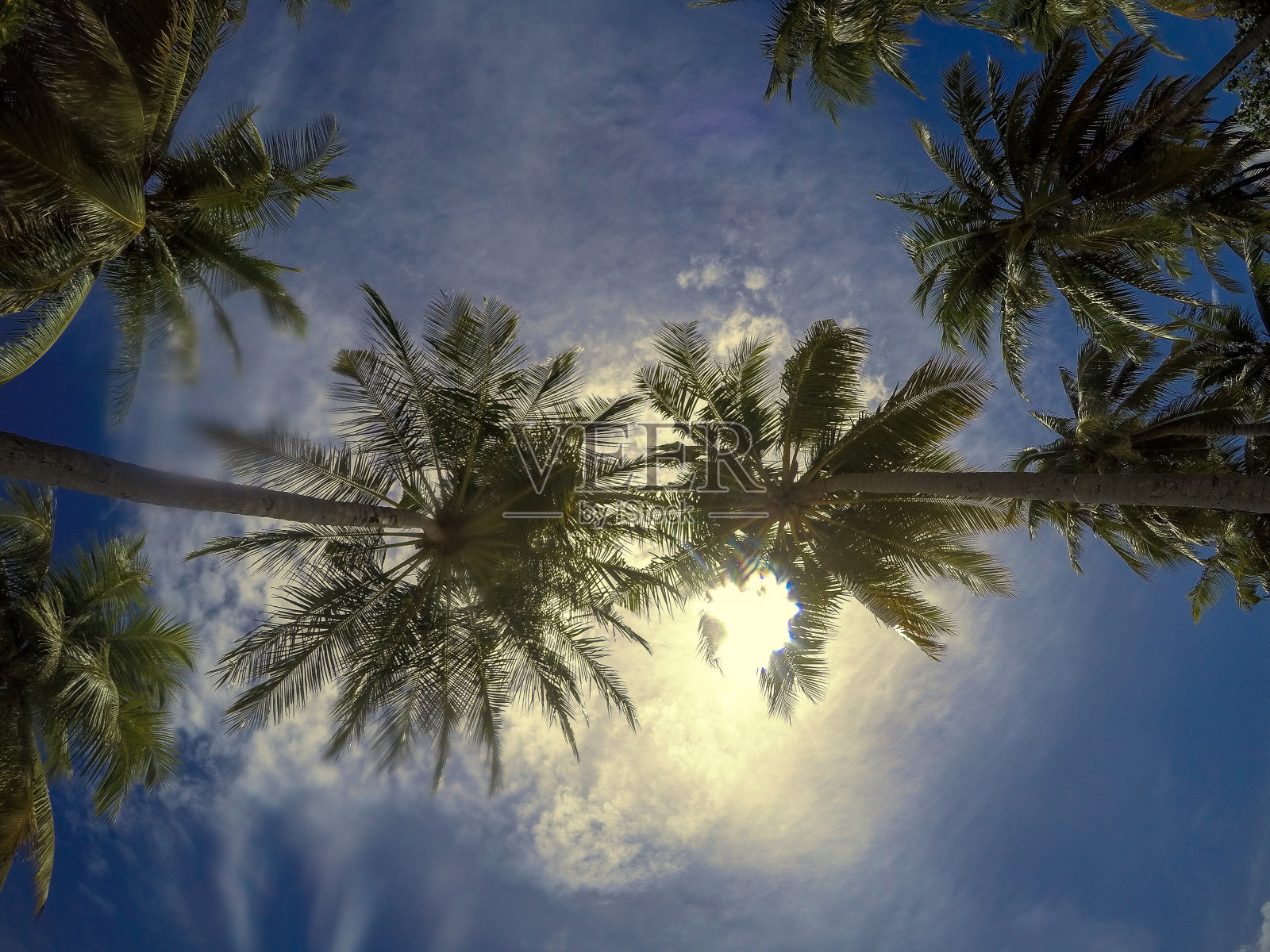 从吊床上抬起头来照片摄影图片