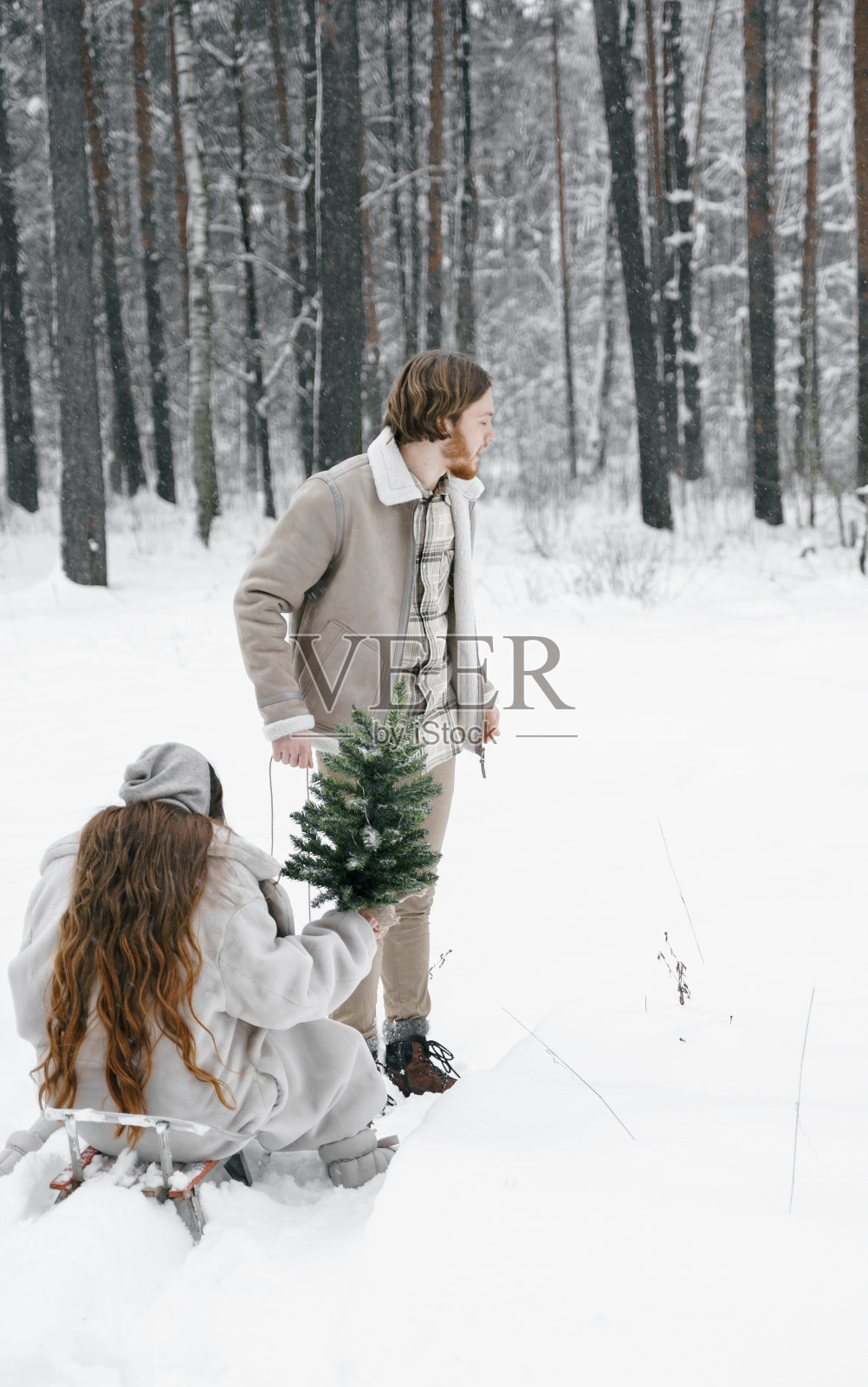 雪橇爱情浪漫的年轻夫妇女孩，男孩在白雪皑皑的冬季森林与圣诞树，雪橇。穿着时髦的衣服，皮大衣，夹克，羊毛披肩，驾着雪橇行走。雪lovestory。浪漫的约会,周末照片摄影图片