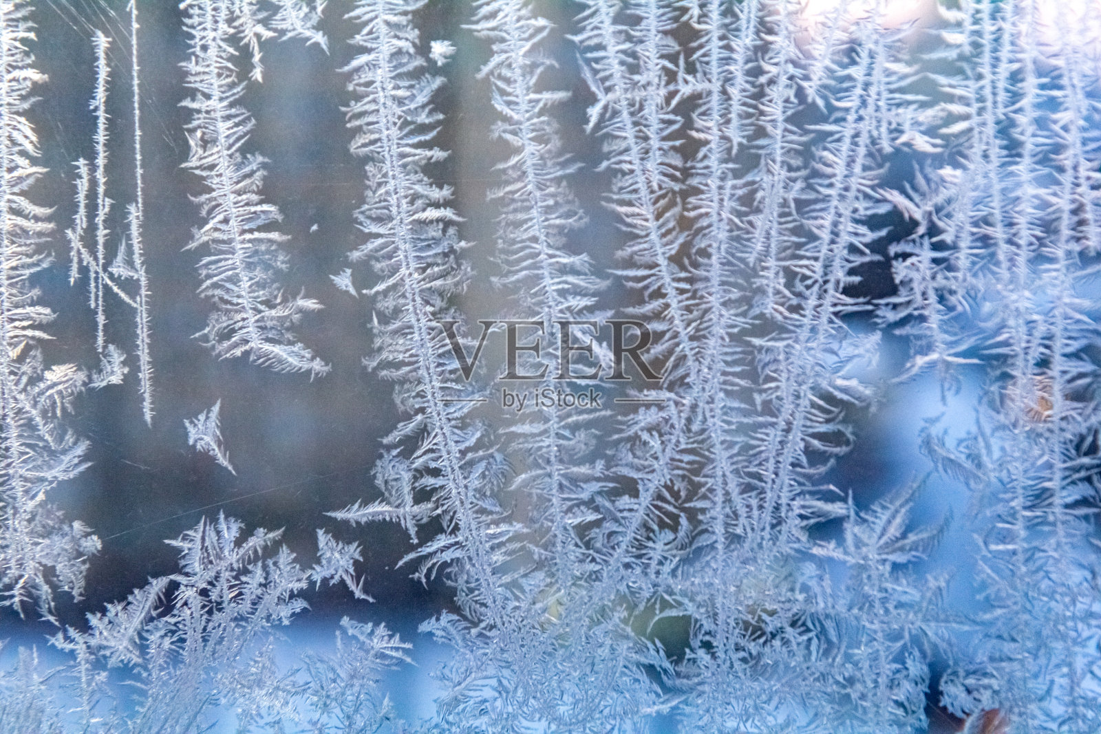 寒冷冬日窗户上的霜照片摄影图片