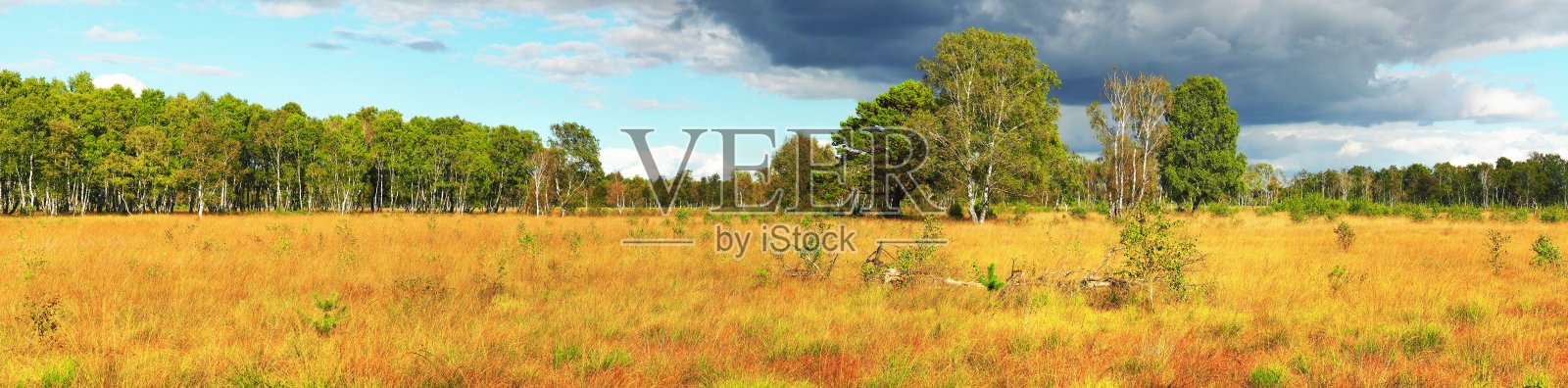 秋天的荒原景观-全景照片摄影图片