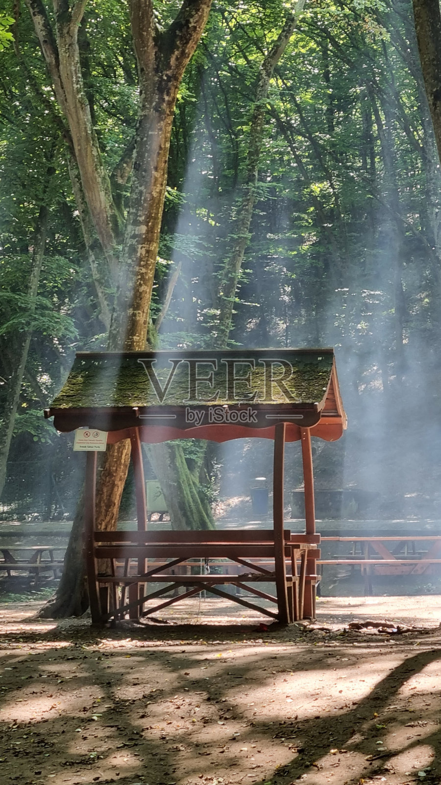 贝尔格莱德森林照片摄影图片