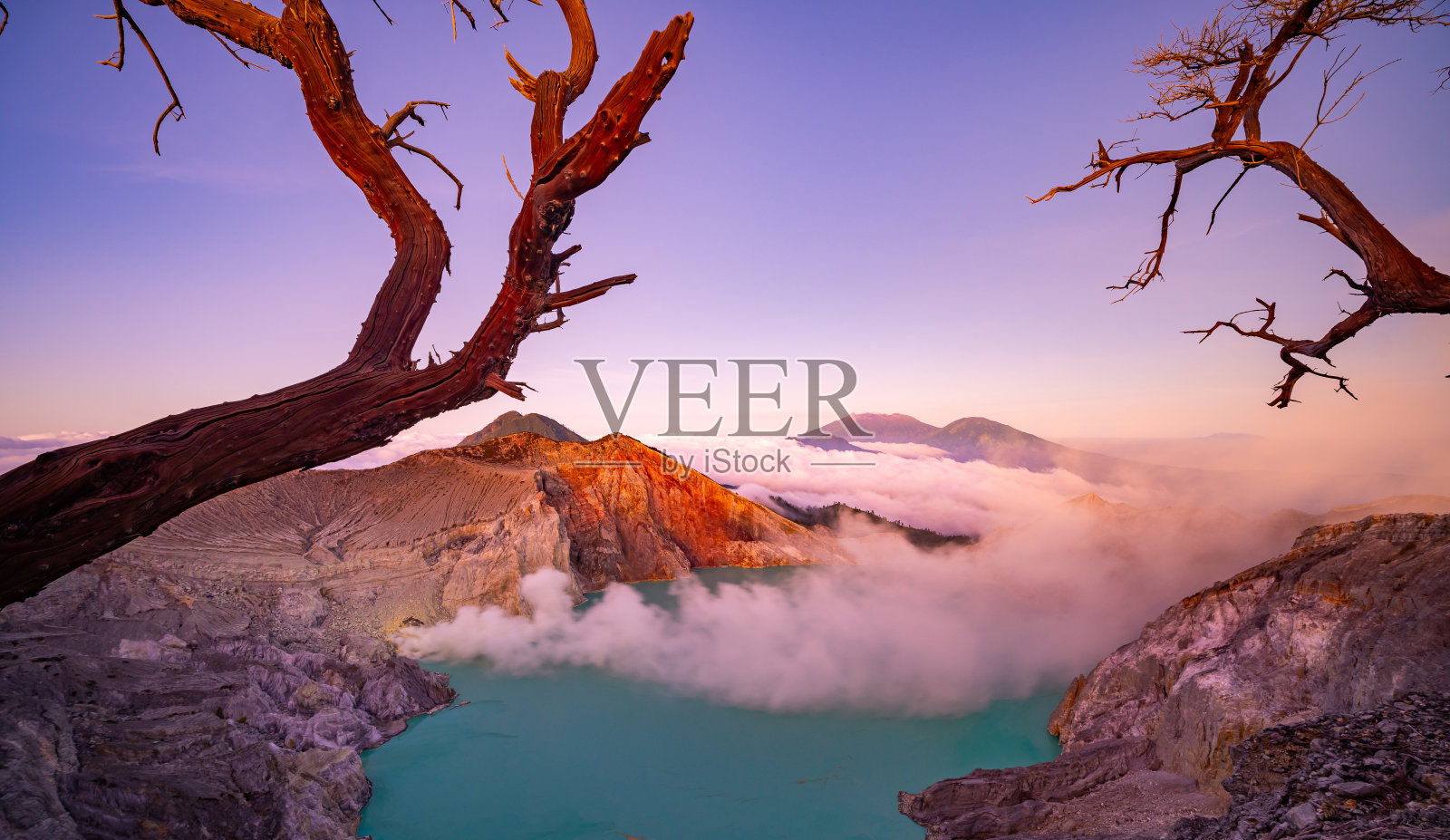 死木无叶树与绿松石湖水，美丽的自然景观山和绿色湖在卡瓦伊真火山，东爪哇，印度尼西亚照片摄影图片