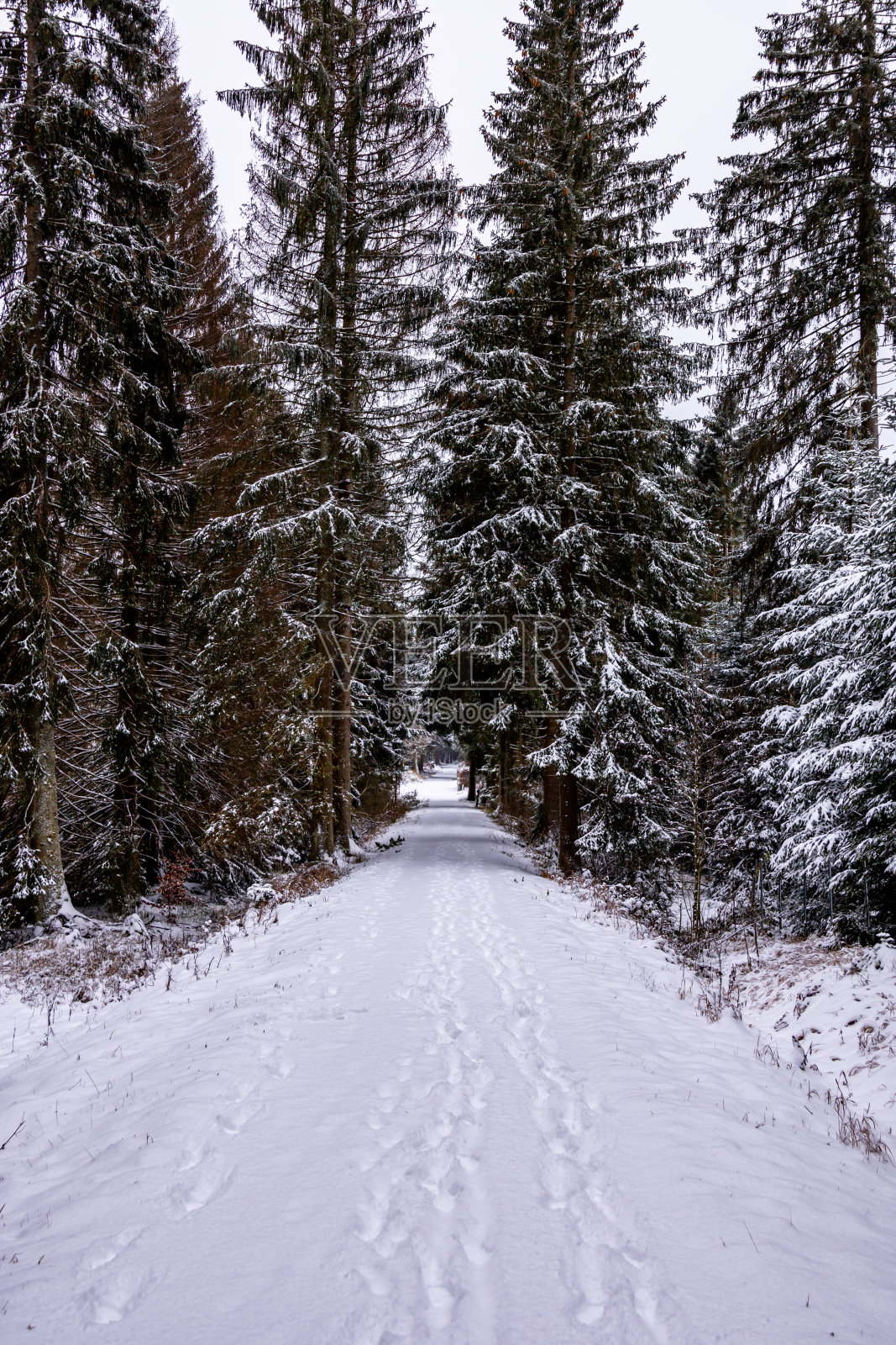 在伦斯泰格车站第一次徒步穿越白雪皑皑的图林根森林照片摄影图片