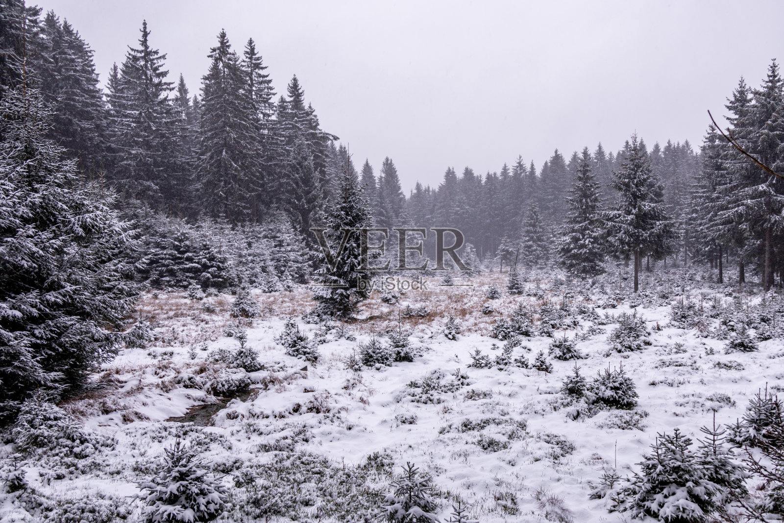 在伦斯泰格车站第一次徒步穿越白雪皑皑的图林根森林照片摄影图片