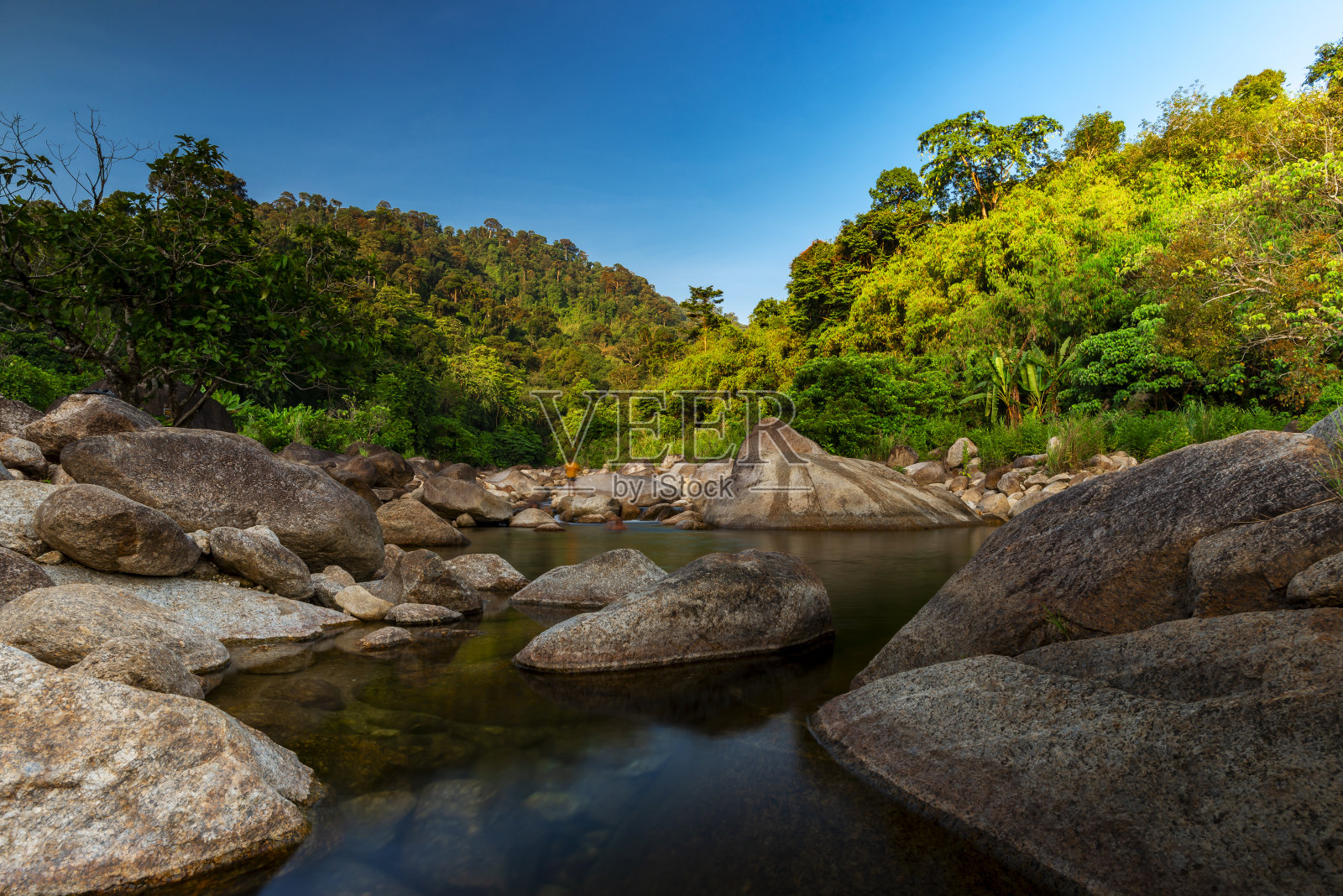 河石，观水河树，石河和森林里的太阳照片摄影图片