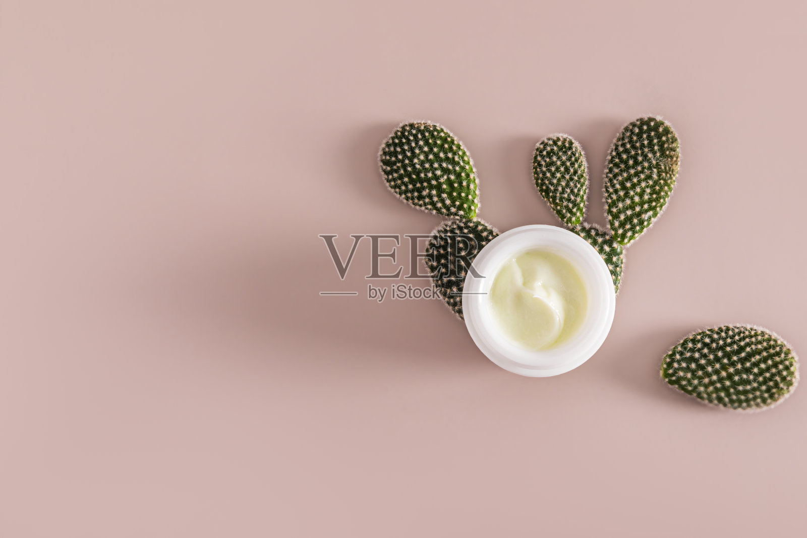 一罐白色的天然面部和身体护肤霜，放在厚实多汁的仙人掌叶子中间。前视图。一个拷贝空间。米色背景。有机化妆品。照片摄影图片