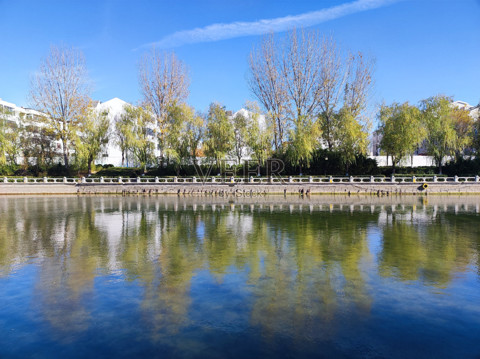 柳树的倒影照片摄影图片