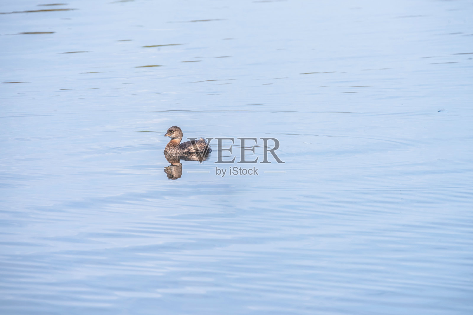 墨湖的秋天照片摄影图片