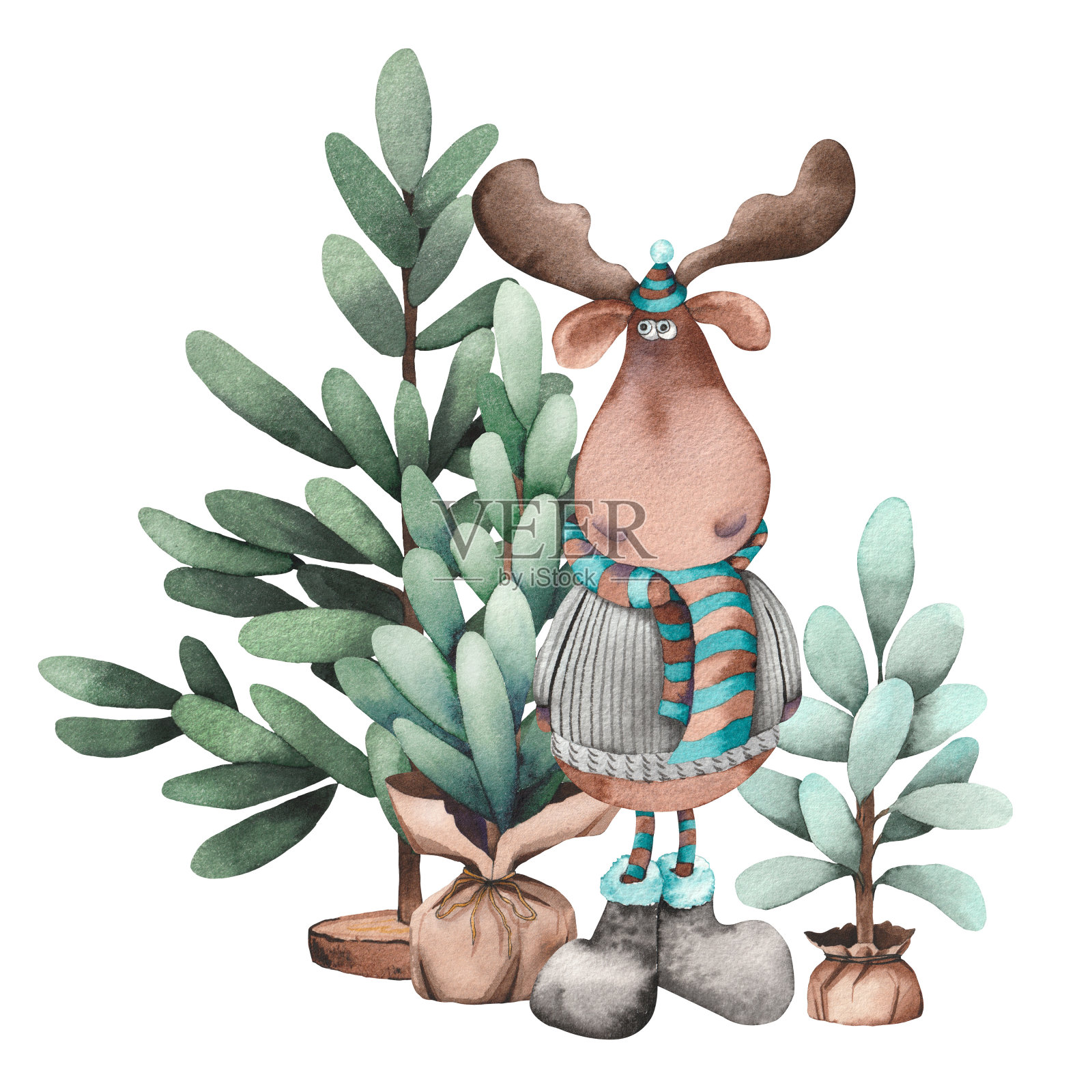 有趣的圣诞卡通驼鹿和松树。插画图片素材