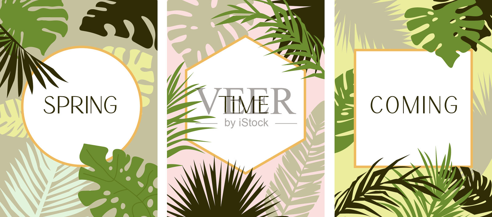 热带树叶海报套装插画图片素材