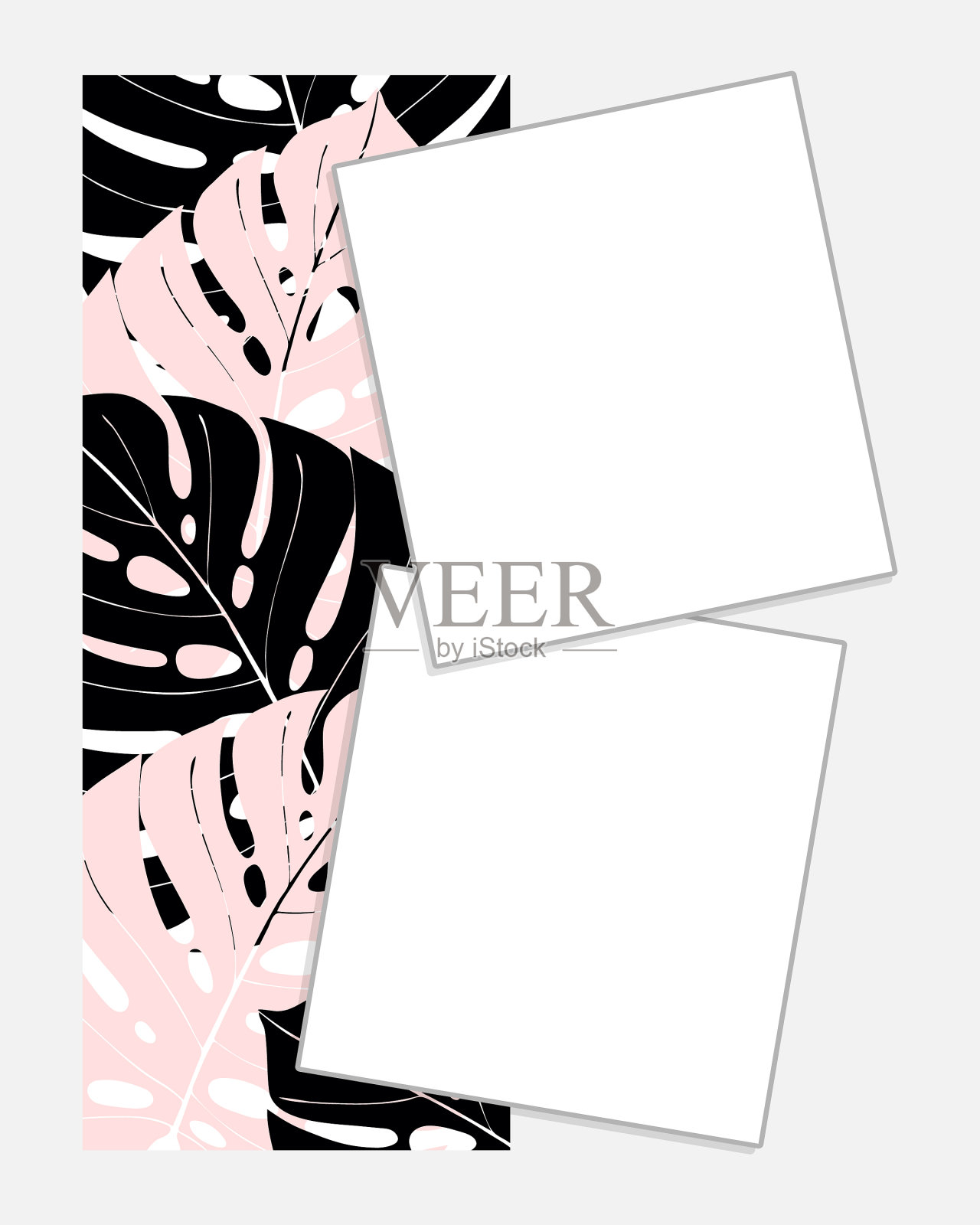 美丽迷人，优雅的写真书社交插画图片素材