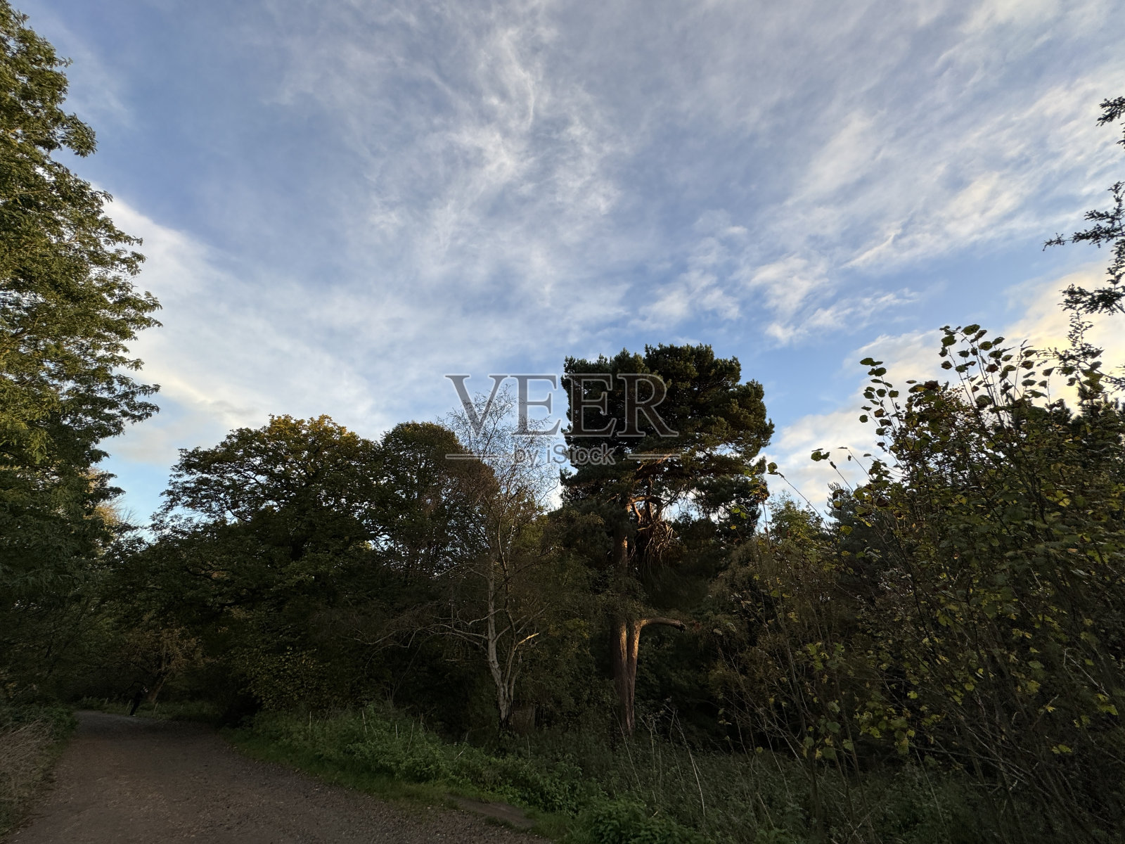 汉普特斯西斯公园照片摄影图片