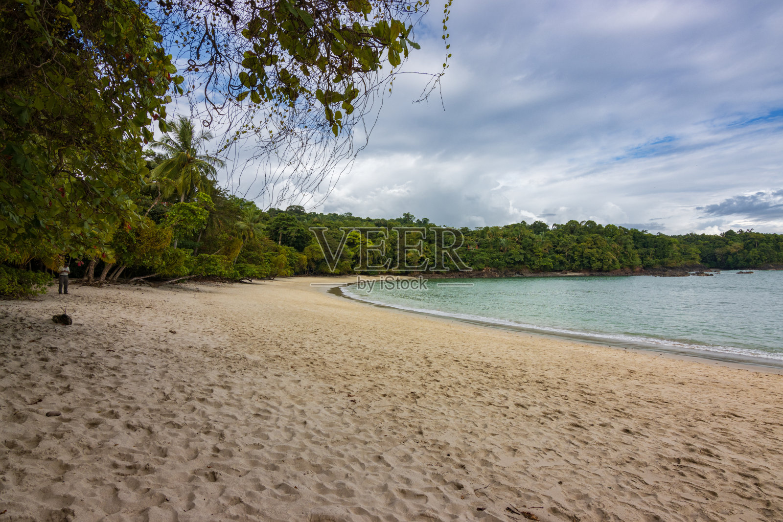 曼努埃尔·安东尼奥自然公园美丽的海滩(哥斯达黎加)照片摄影图片