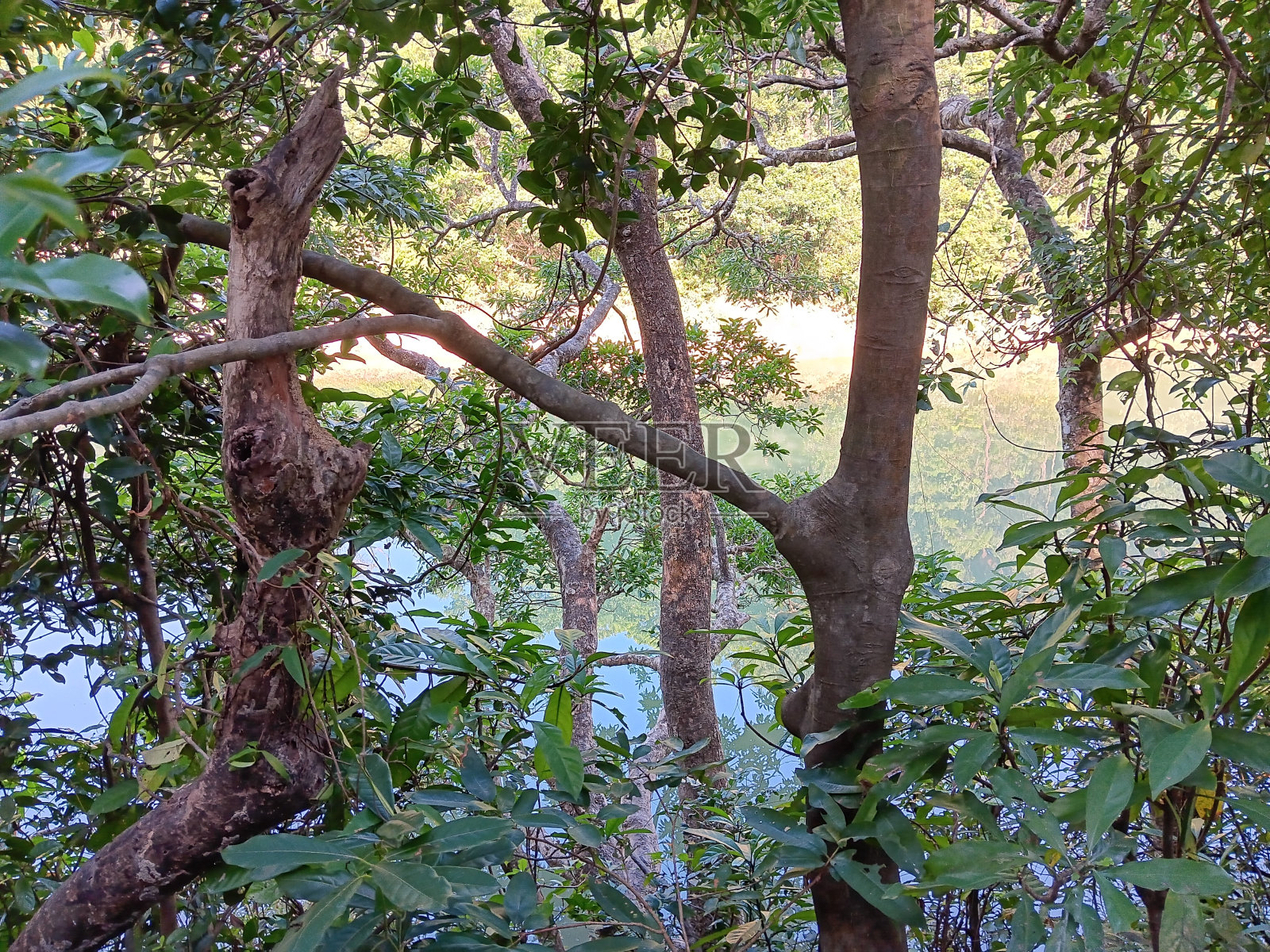 两个蓝色的天空，上面和下面照片摄影图片