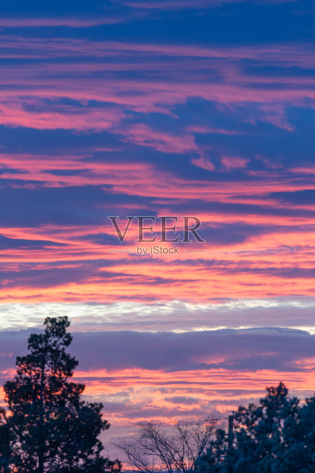 日落时五彩缤纷的天空，云和树梢照片摄影图片