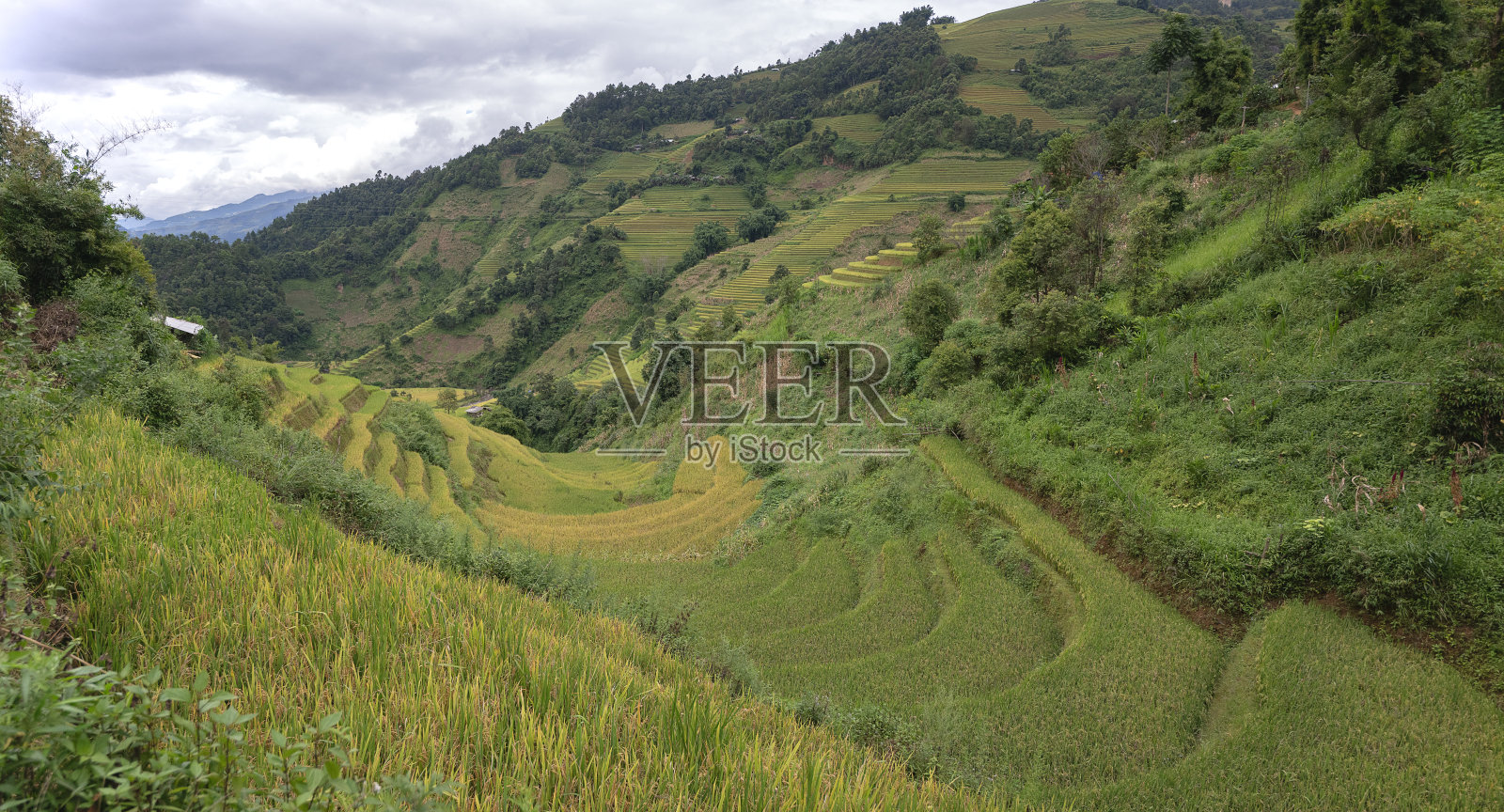 越南北部的梯田和蓝色多云的天空照片摄影图片
